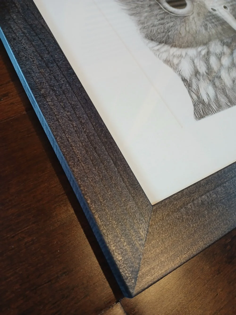 Framed Artwork Morepork Portrait by Sina Sibler