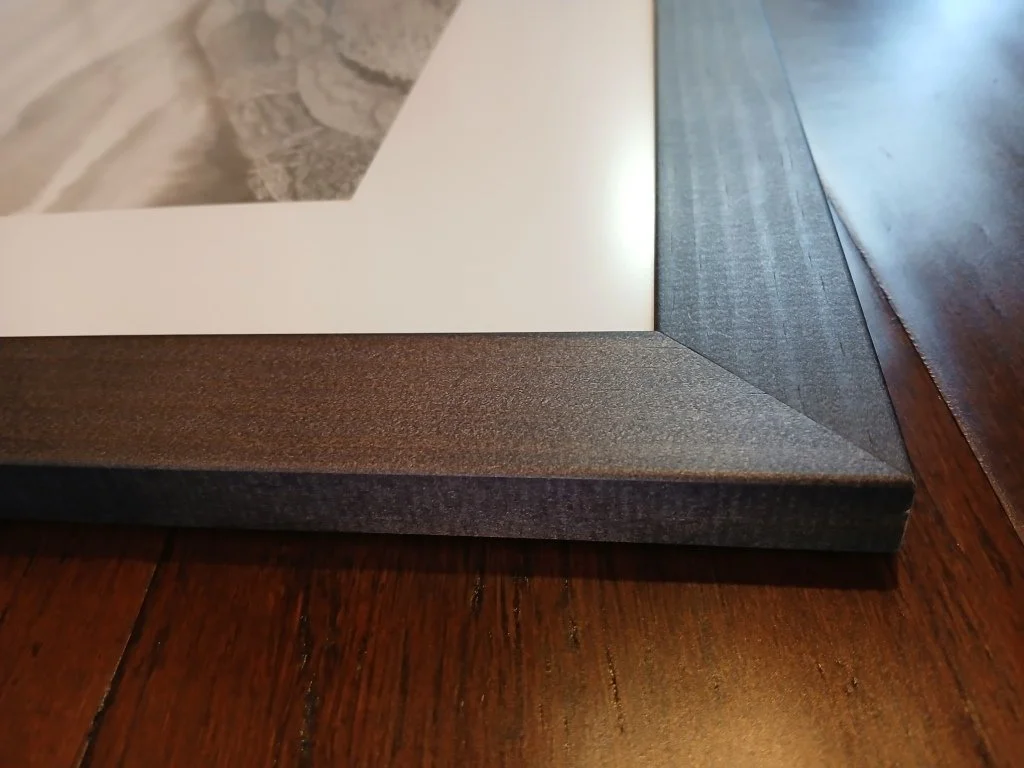 Black and white ink drawing of Fiordland alpine bush and mist, inspired by the Hump Ridge Track, highly detailed landscape by Sina Sibler