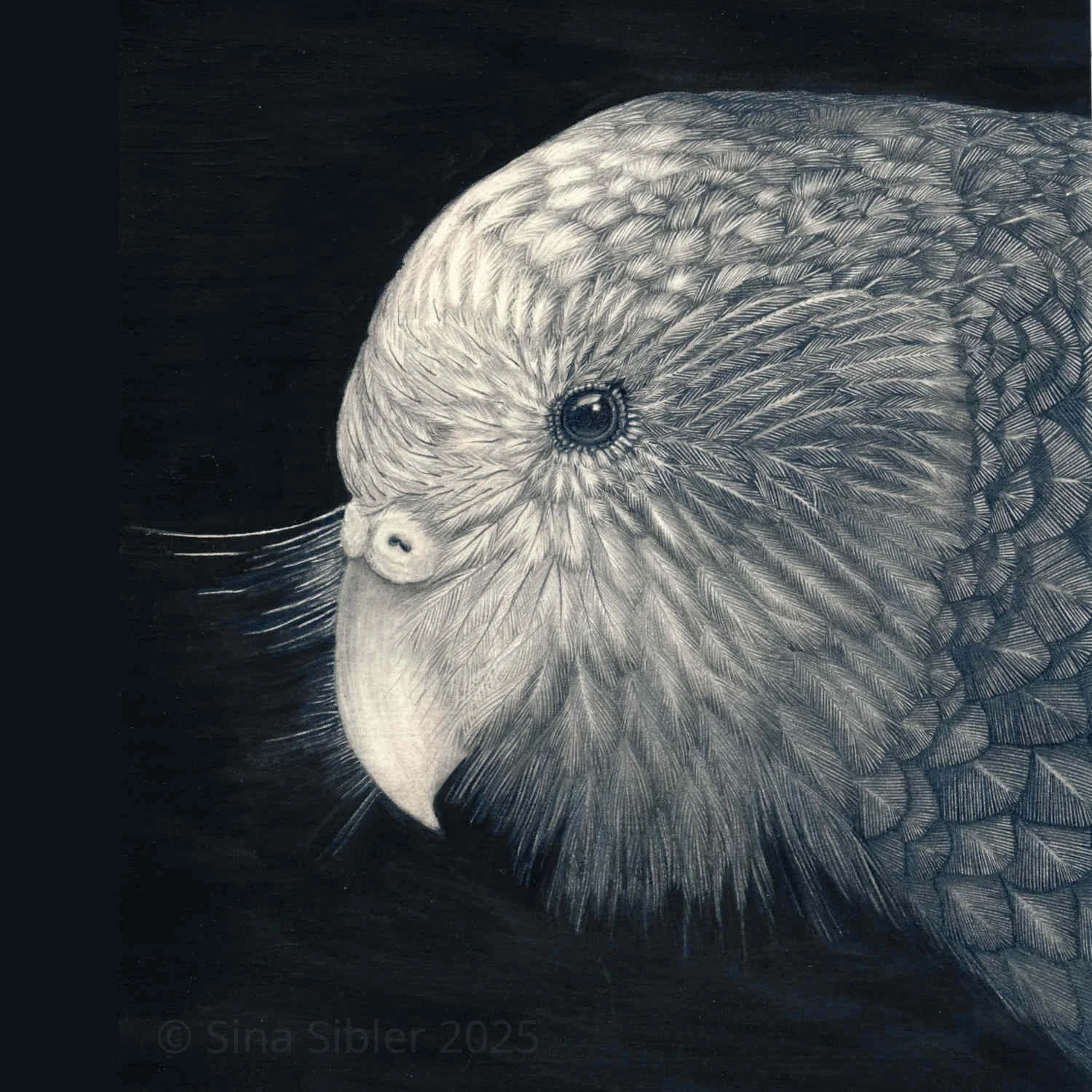 Kakapo Portrait