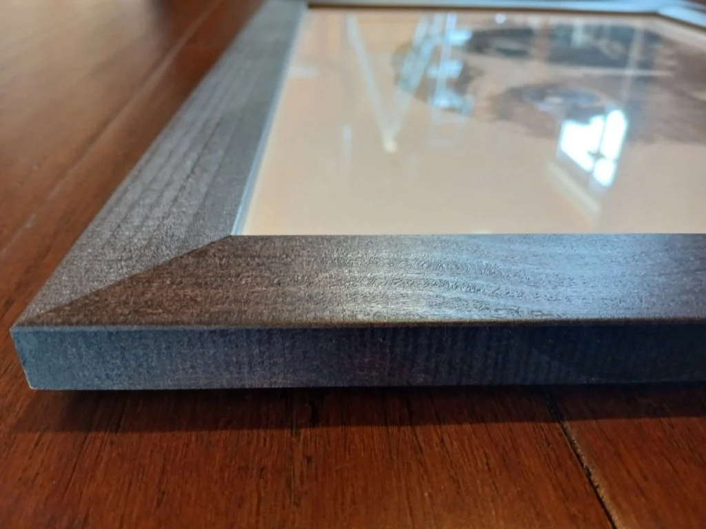 Framed Artwork Morepork Portrait by Sina Sibler