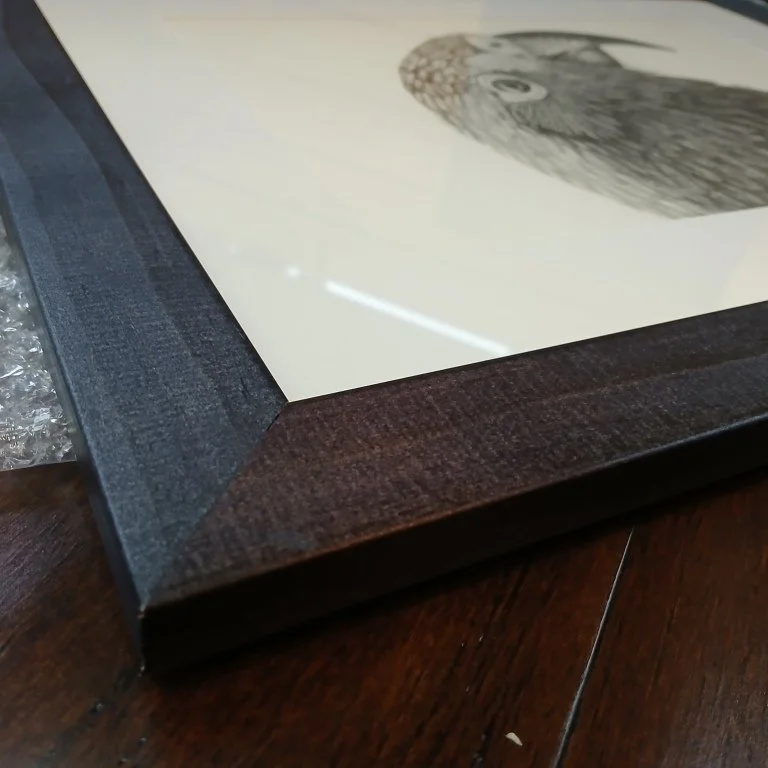 Frame Detail of the Graphite Drawing Kea Portrait by Te Anau Artist Sina Sibler