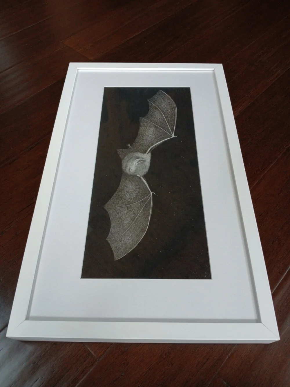 Framed Graphite drawing of a New Zealand long-tailed bat mid flight, detailed wings and fur, against a charcoal background by Fiordland artist Sina Sibler.