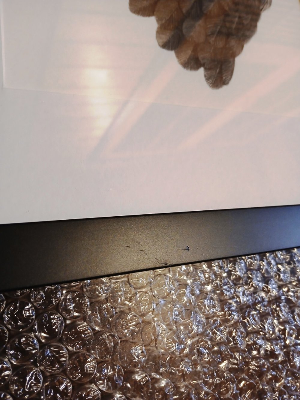 Graphite drawing of a takahē bird, close-up portrait of its head and upper body, inspired by the Murchison Mountains of New Zealand.