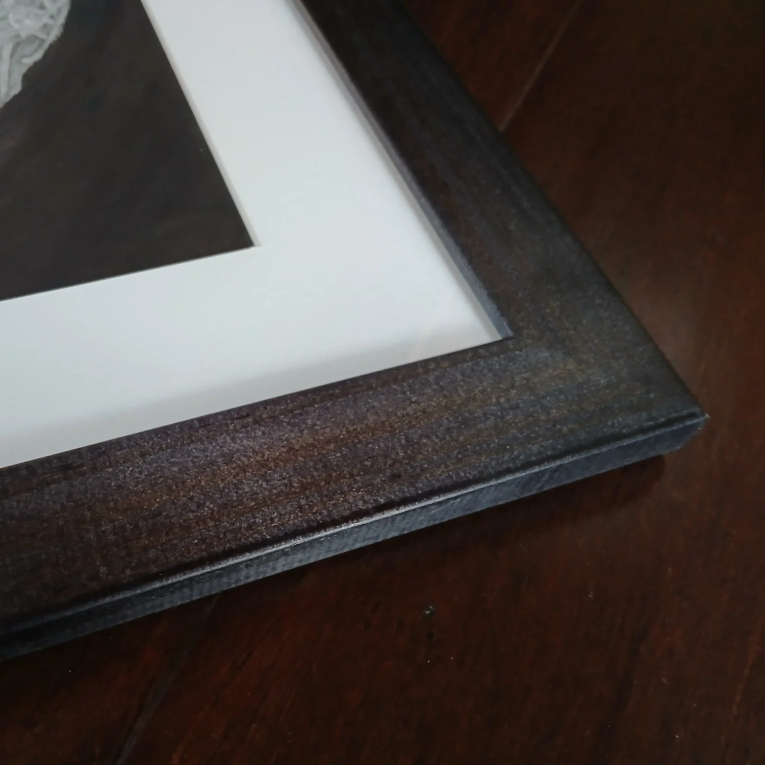 Framed Artwork Kiwi Nest by Sina Sibler