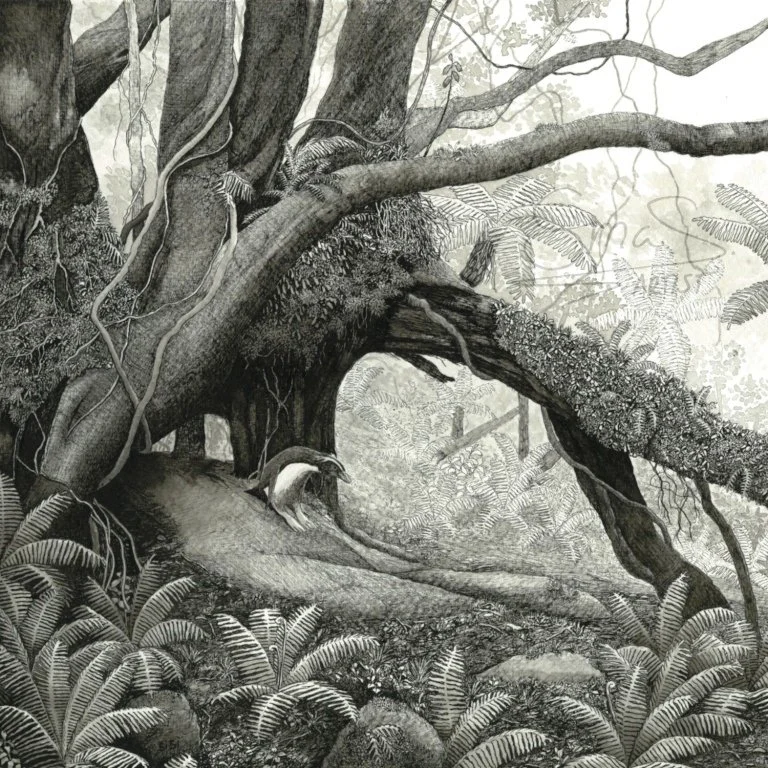 Forest Penguin on Chalky Island - Giclée Print