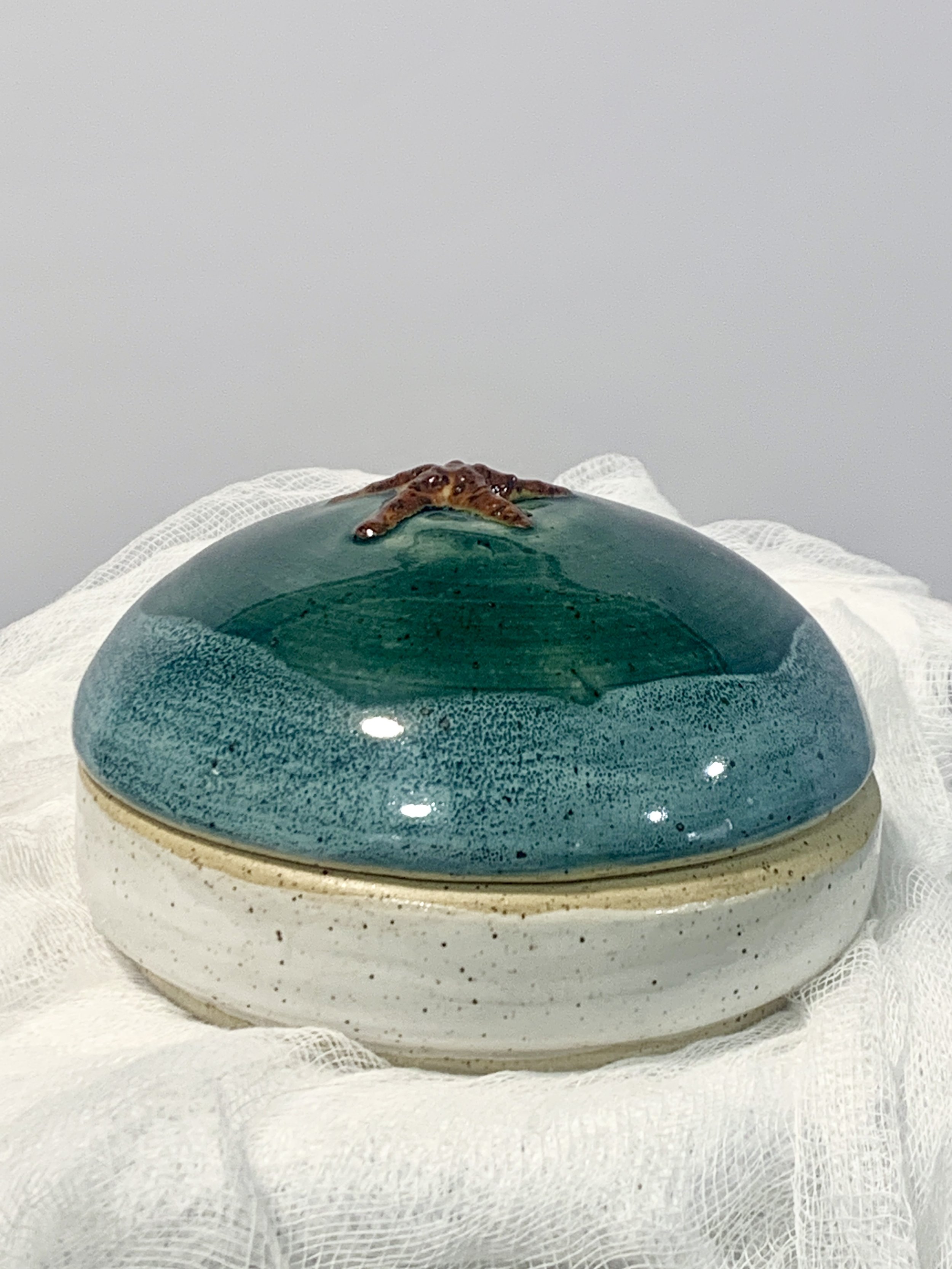 starfish sea box.jpg