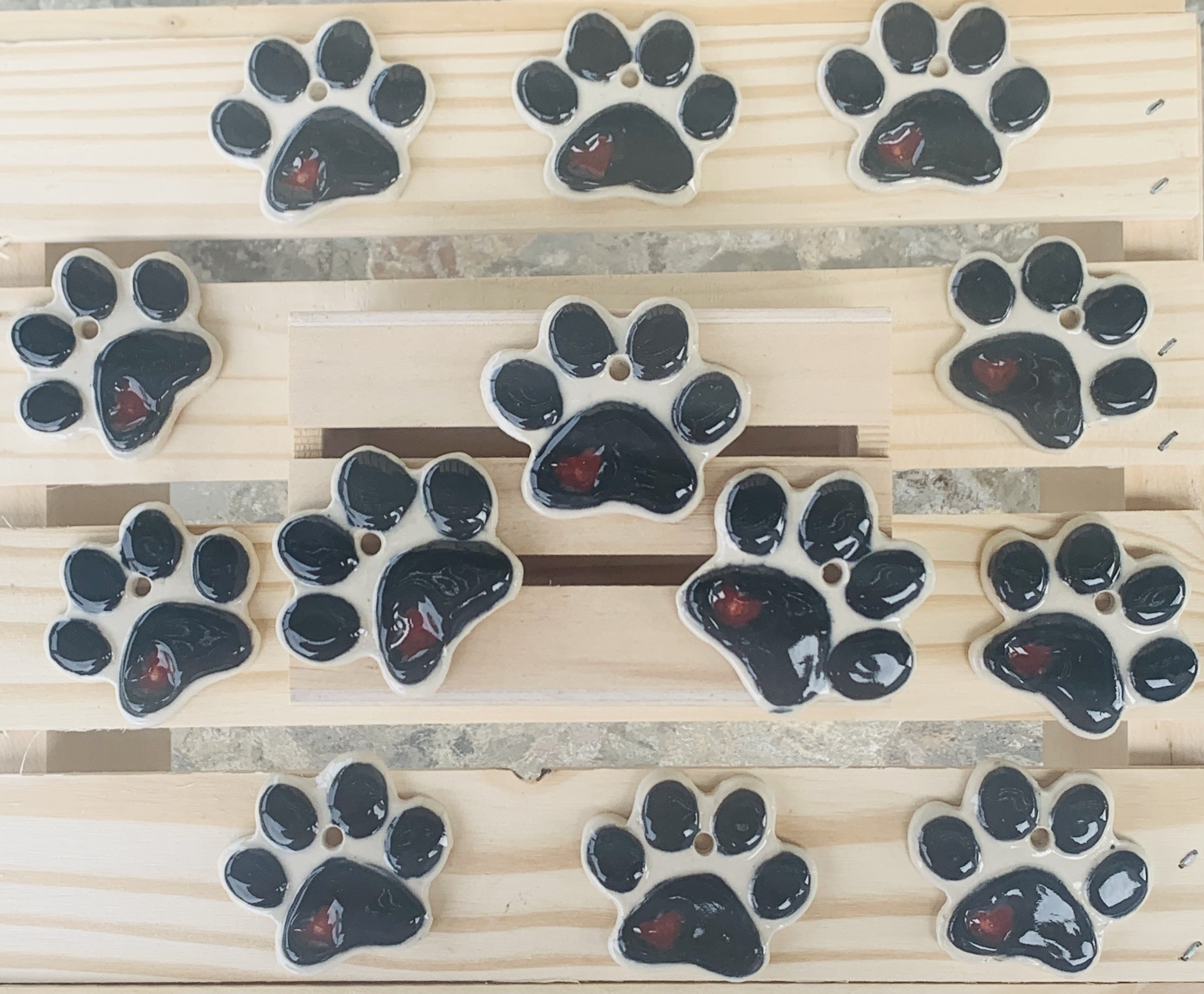 many paw prints.jpg
