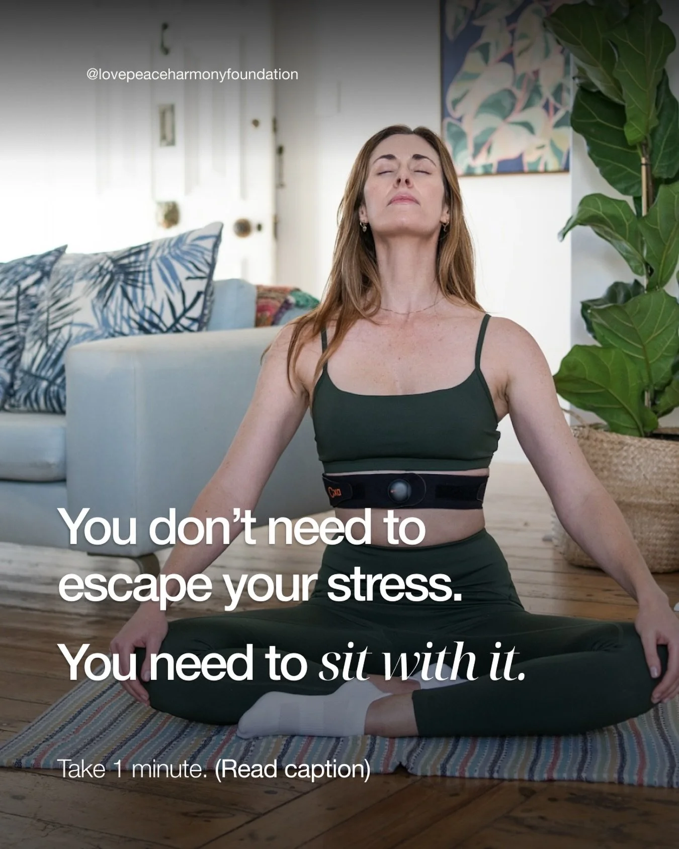 You do not need to &ldquo;beat&rdquo; stress to move forward.
Sometimes the most helpful thing is to stop and notice: this is hard right now.

Love Peace Harmony exists for moments like that - when you want something real, not perfect. A calmer way t