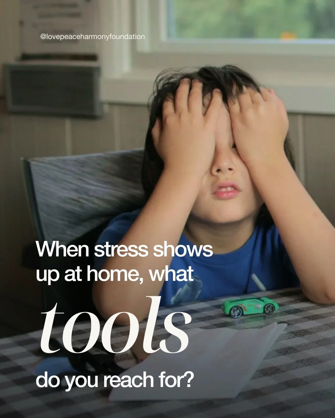 Most families are doing the best they can.

The hard part is not love. The hard part is knowing what to do in the moment when emotions are high - when a child feels overwhelmed, when patience runs thin, when everyone feels stretched.

Family Harmony 