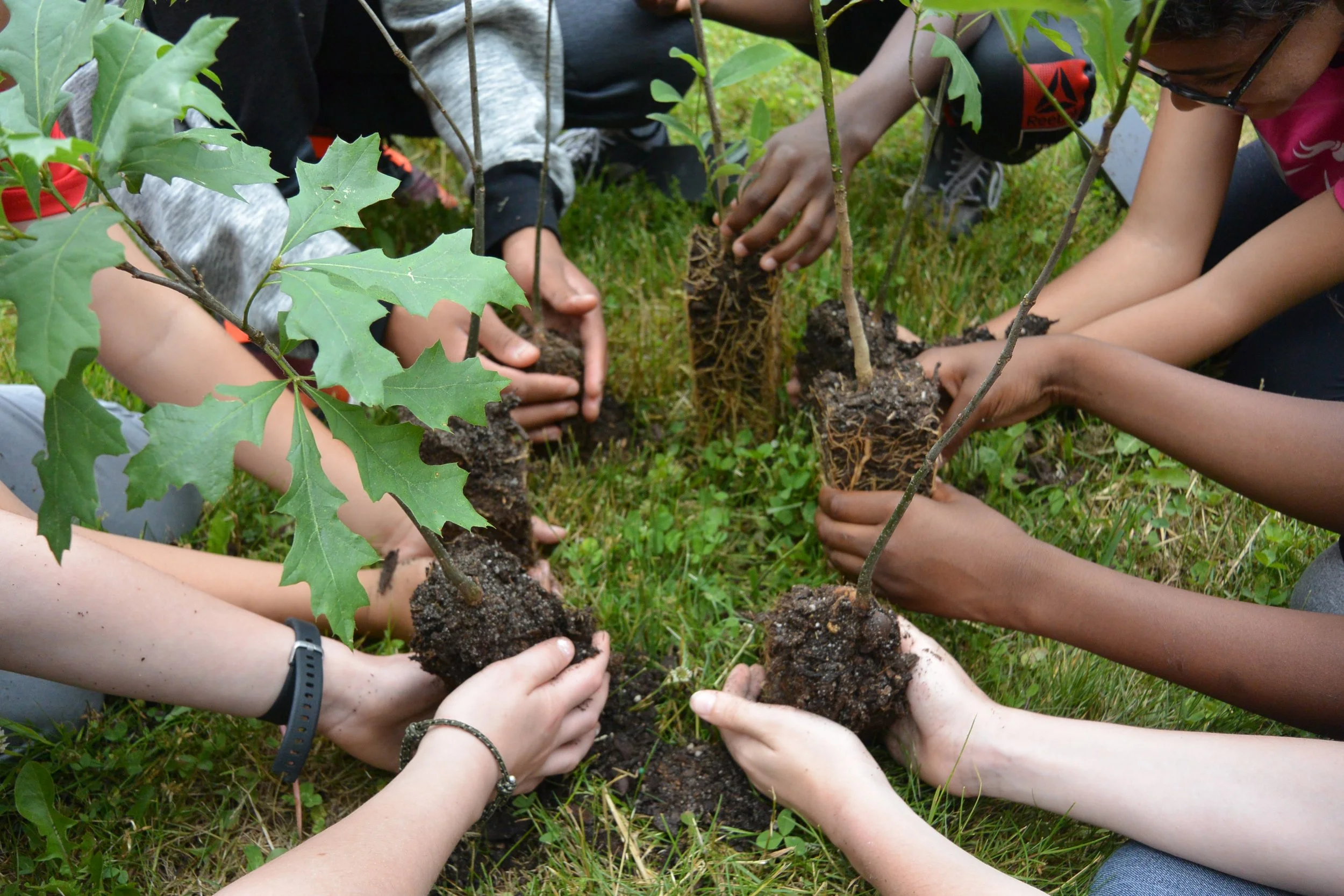Our collaboration with One Tree Planted &amp; Eden Reforestation