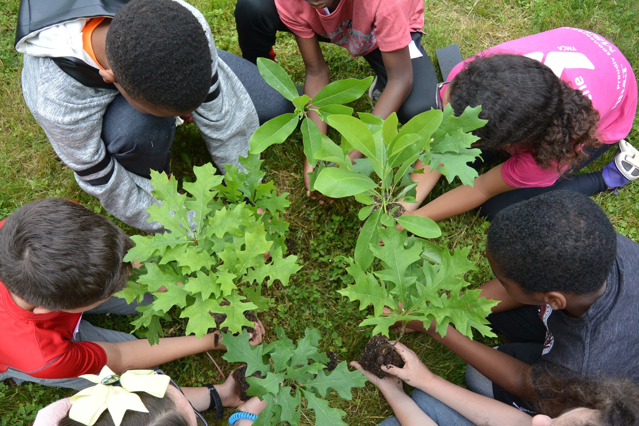 Copy of DSC_5230.JPG