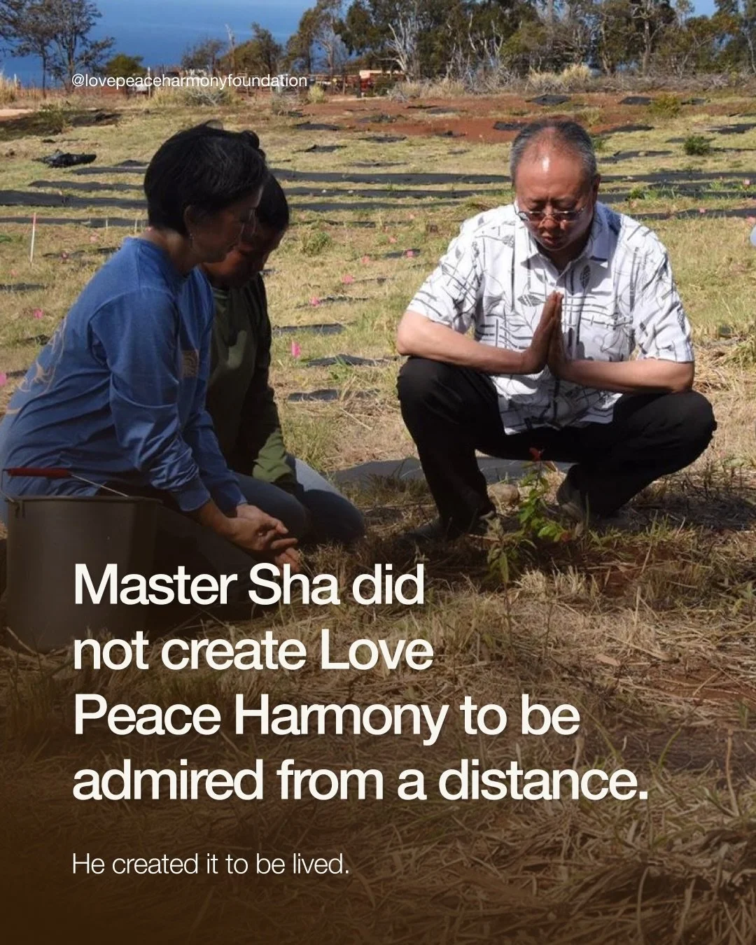 Personal wellbeing and humanitarian action are often treated as separate conversations.

Master Sha&rsquo;s vision for Love Peace Harmony brings them together.

When people have practical ways to feel calmer and more present, they may be better able 