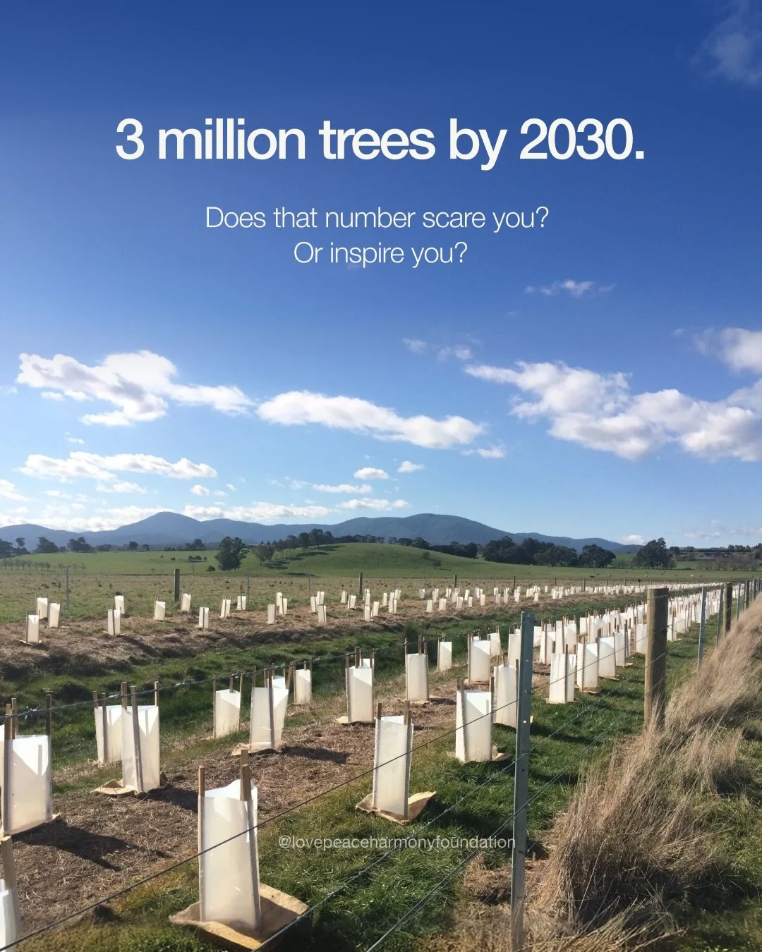 When you hear about planting 3 million trees by 2030, it might feel overwhelming. But consider this: every small action we take can add up to something huge.

At Love Peace Harmony, we&rsquo;re not waiting for one person to fix everything. We&rsquo;r