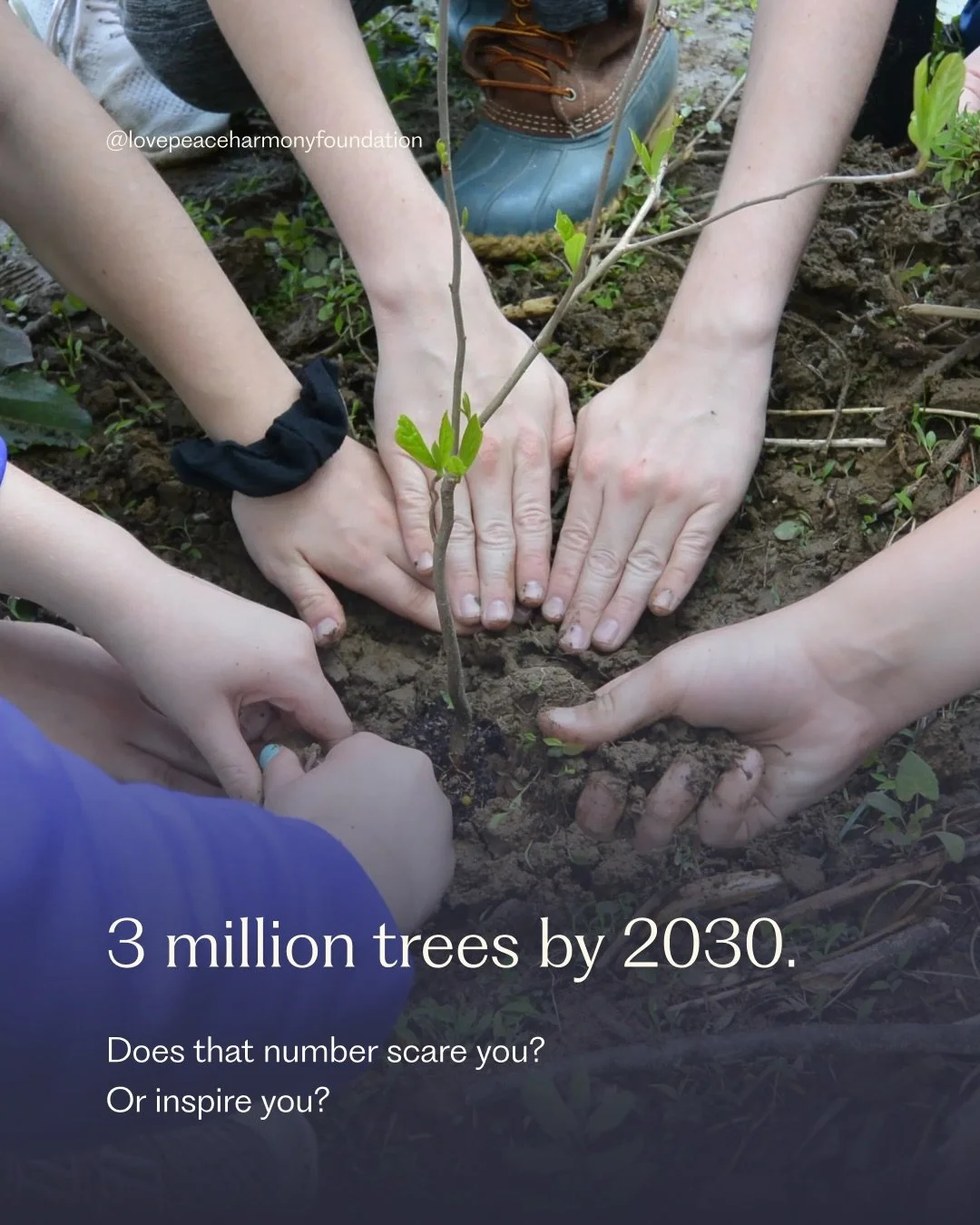 When you hear about planting 3 million trees by 2030, it might feel overwhelming. But consider this: every small action we take can add up to something huge.

At Love Peace Harmony, we&rsquo;re not waiting for one person to fix everything. We&rsquo;r