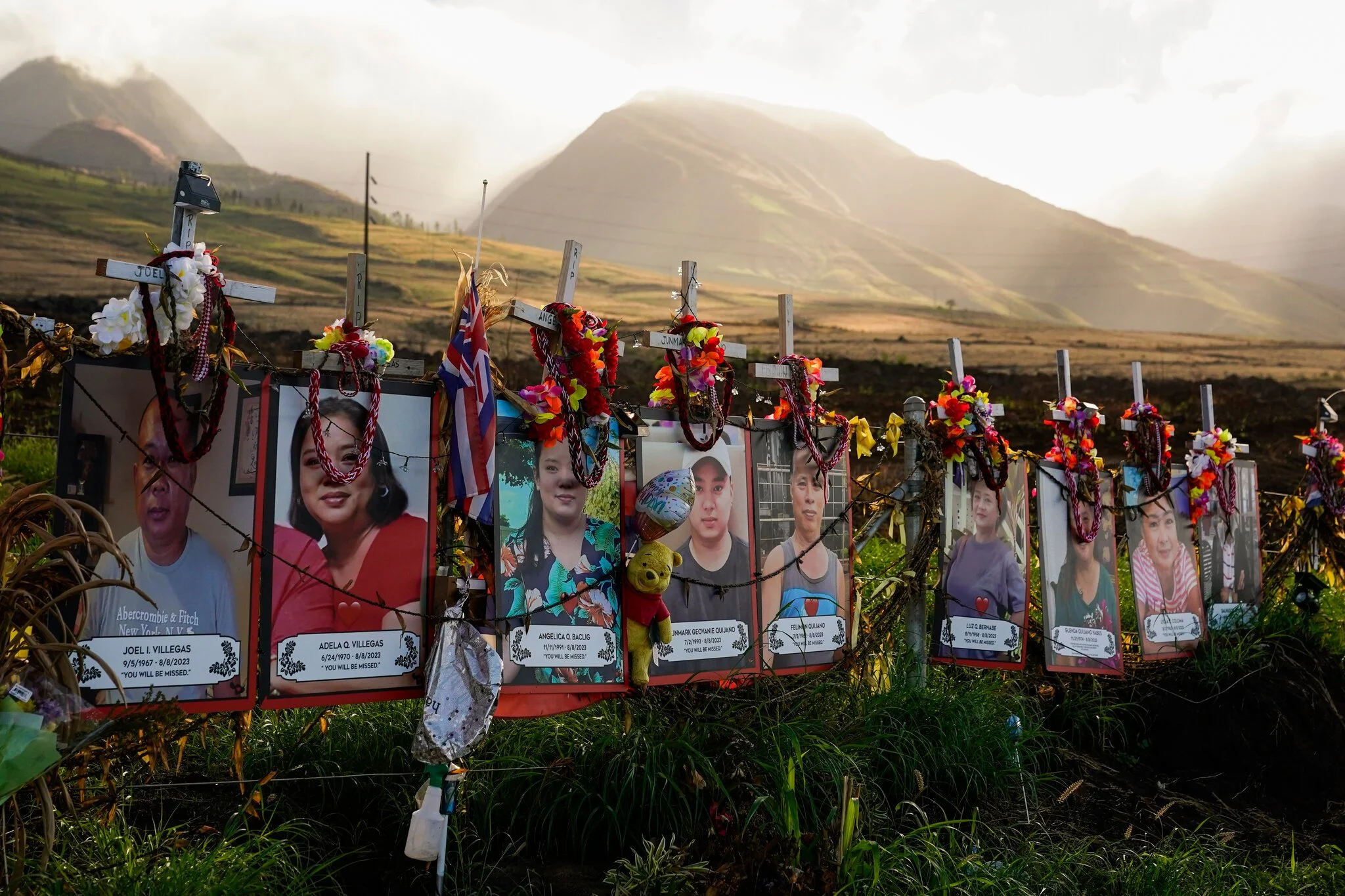 Maui Fire Survivors – Lāhainā
