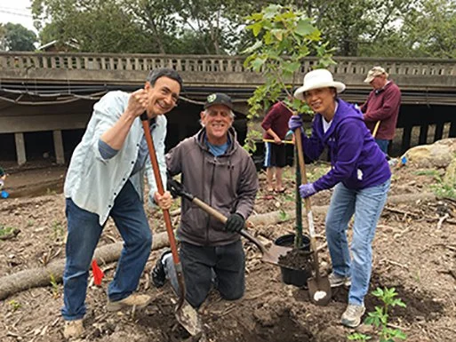 Group of people planting a tree outdoors near a bridge.