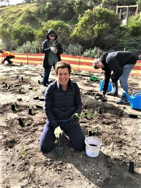 Three women and one man planting small seedlings in a garden or farm area on a sunny day, with trees and a hill in the background.