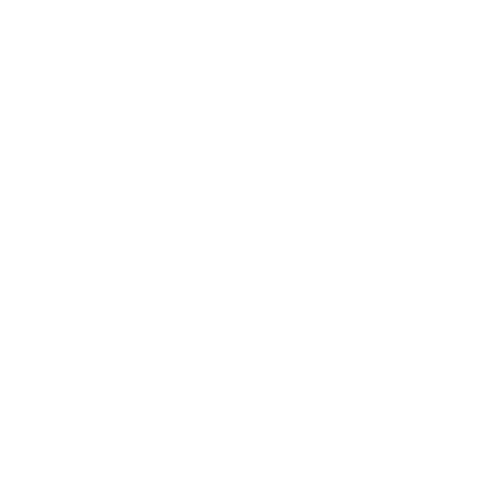 Prof. Robson Pereira