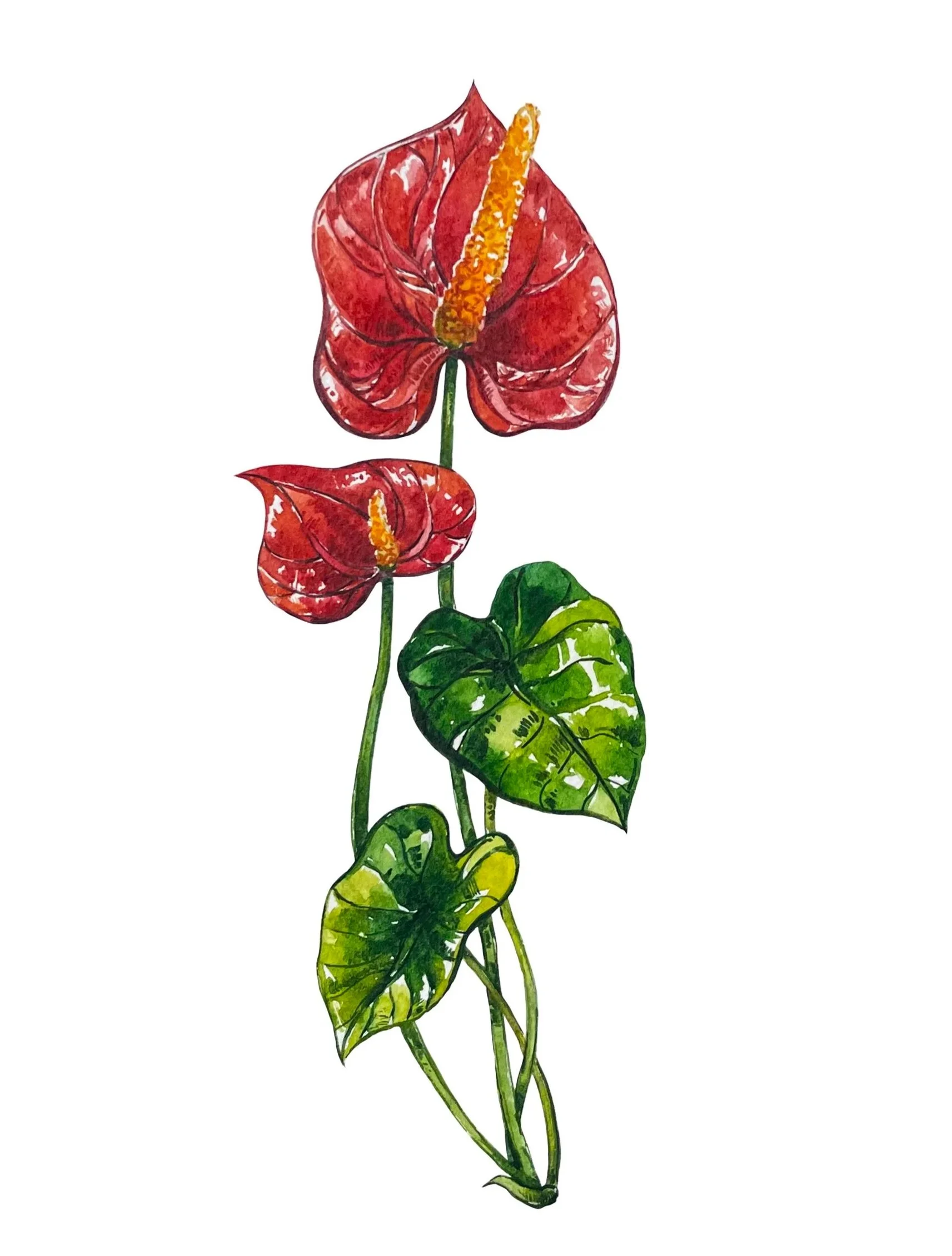 WeddingPaintings_Flowers.jpg