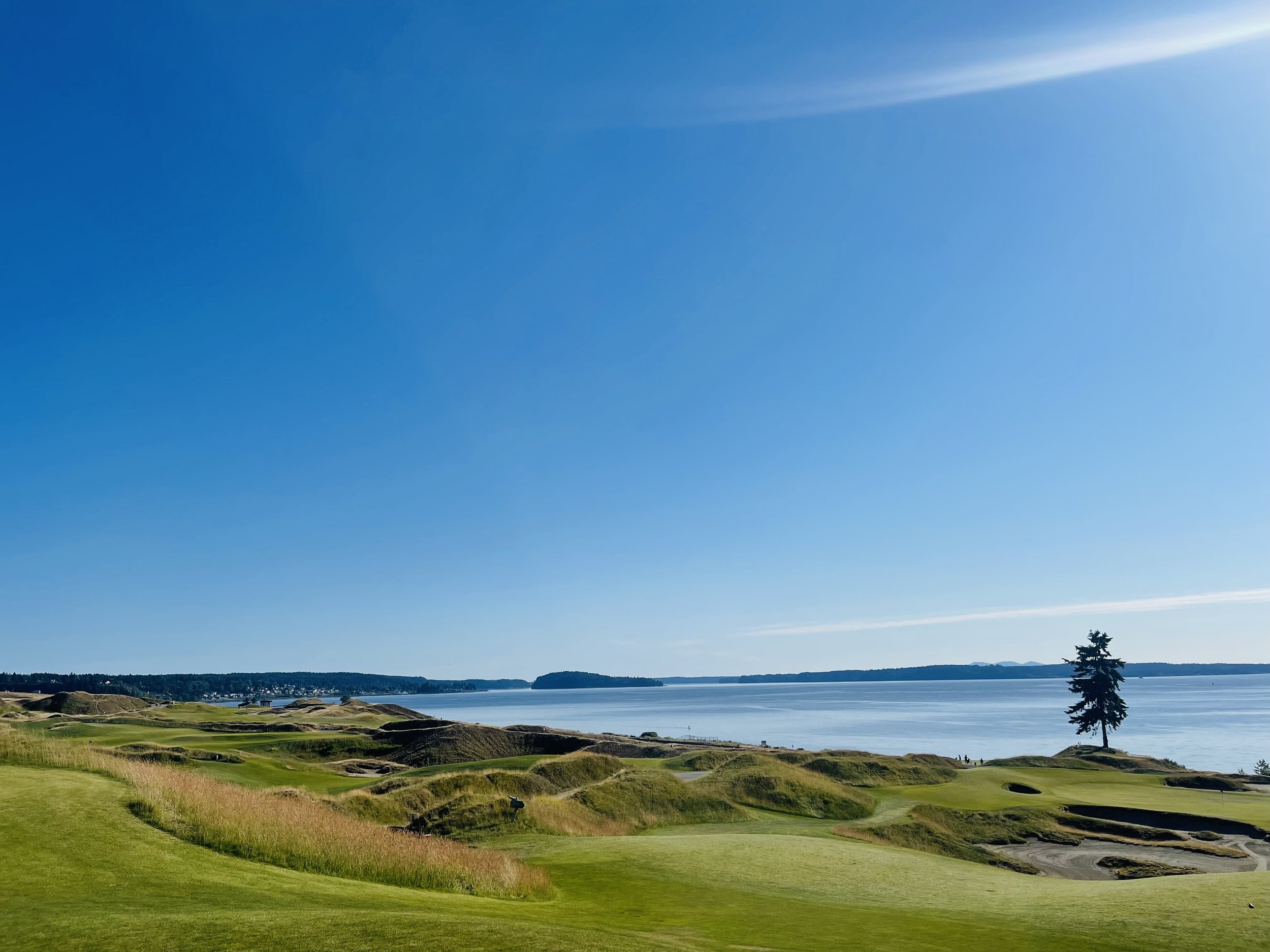 Chambers Bay Golf Course