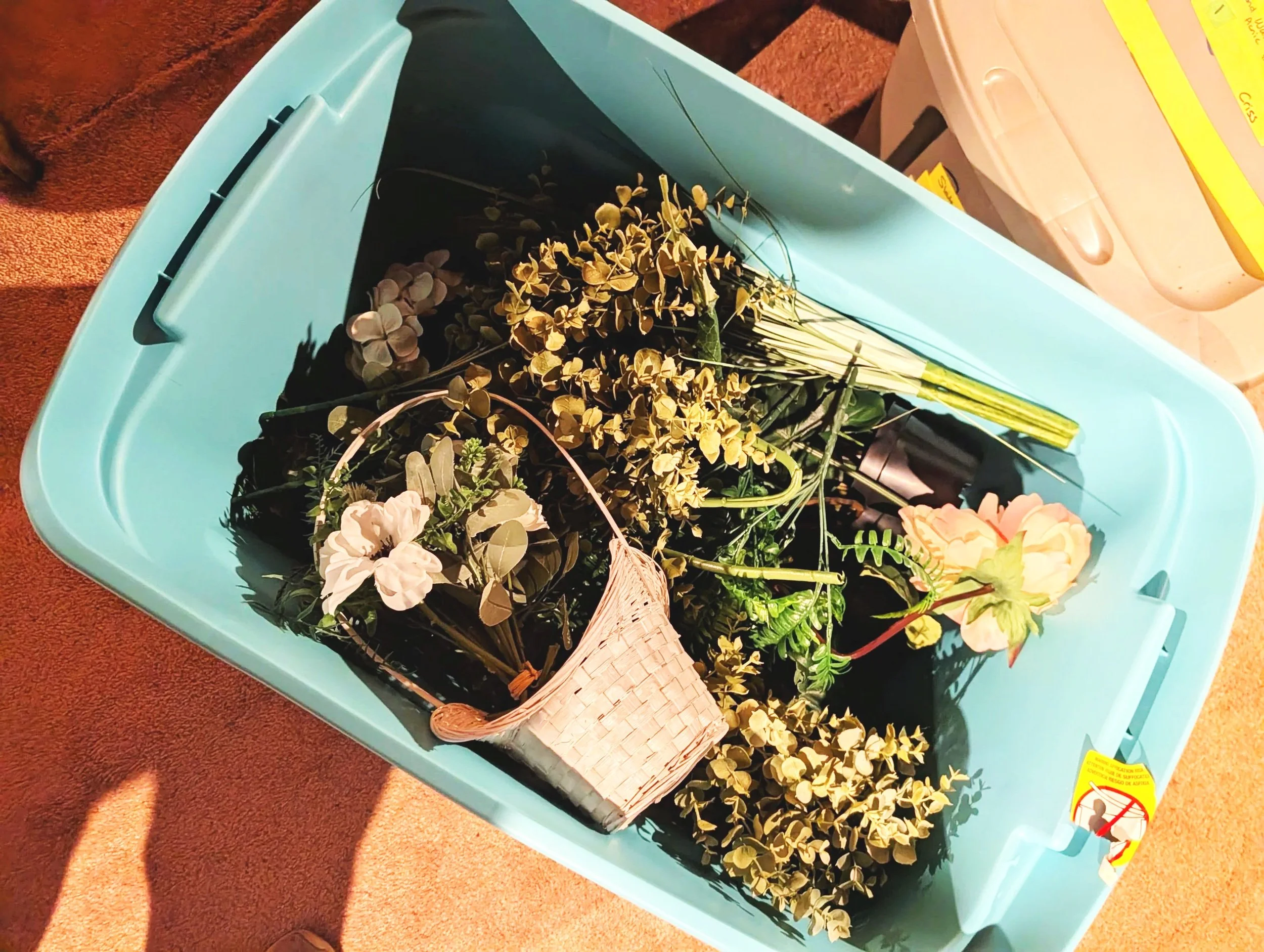 Misc. Flowers & Plants