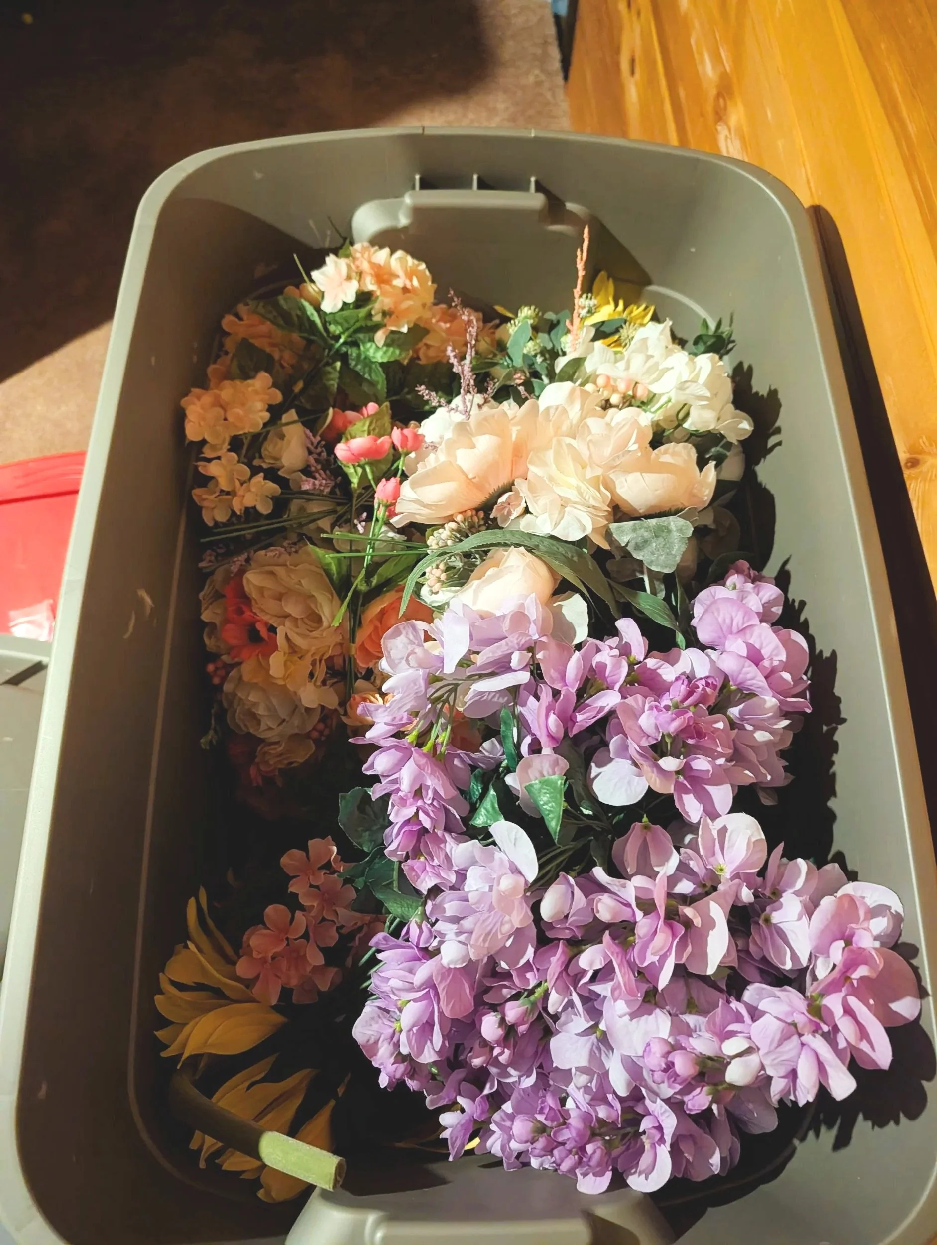 Misc. Flowers & Plants