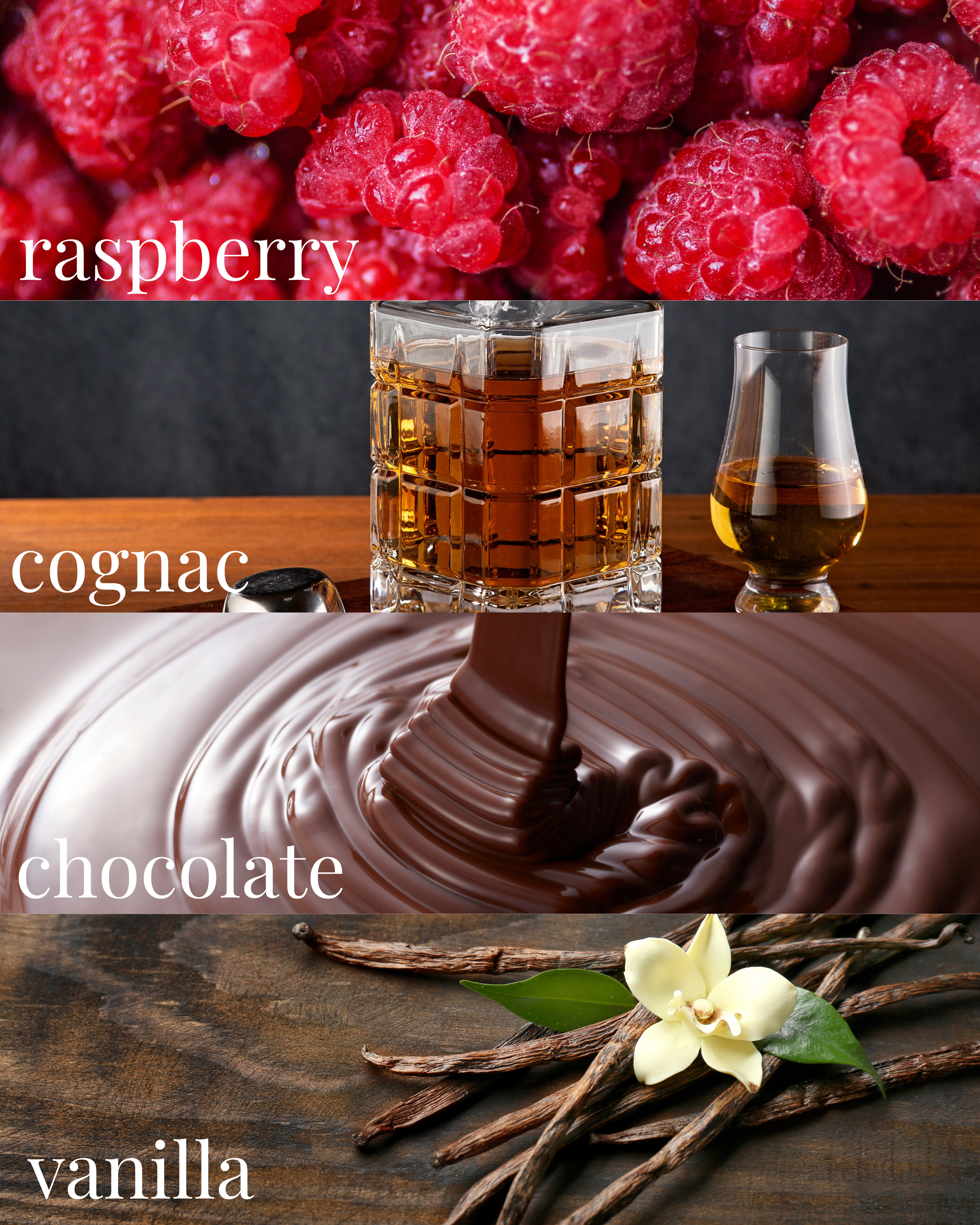 Nomada Picture (1).png