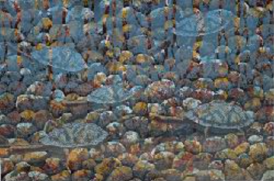 LIN ONUS, Gumbirri Garginingi, 1996