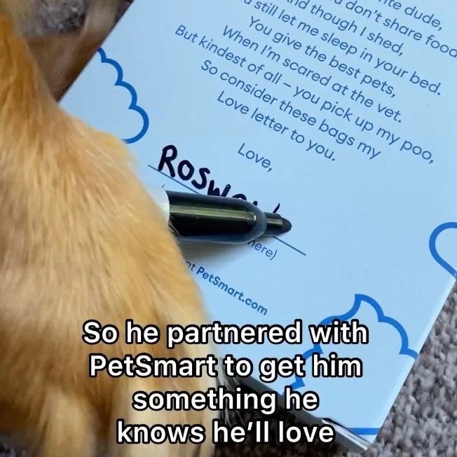 Screenshot 2024-10-07 at 6.52.26 PM.jpg