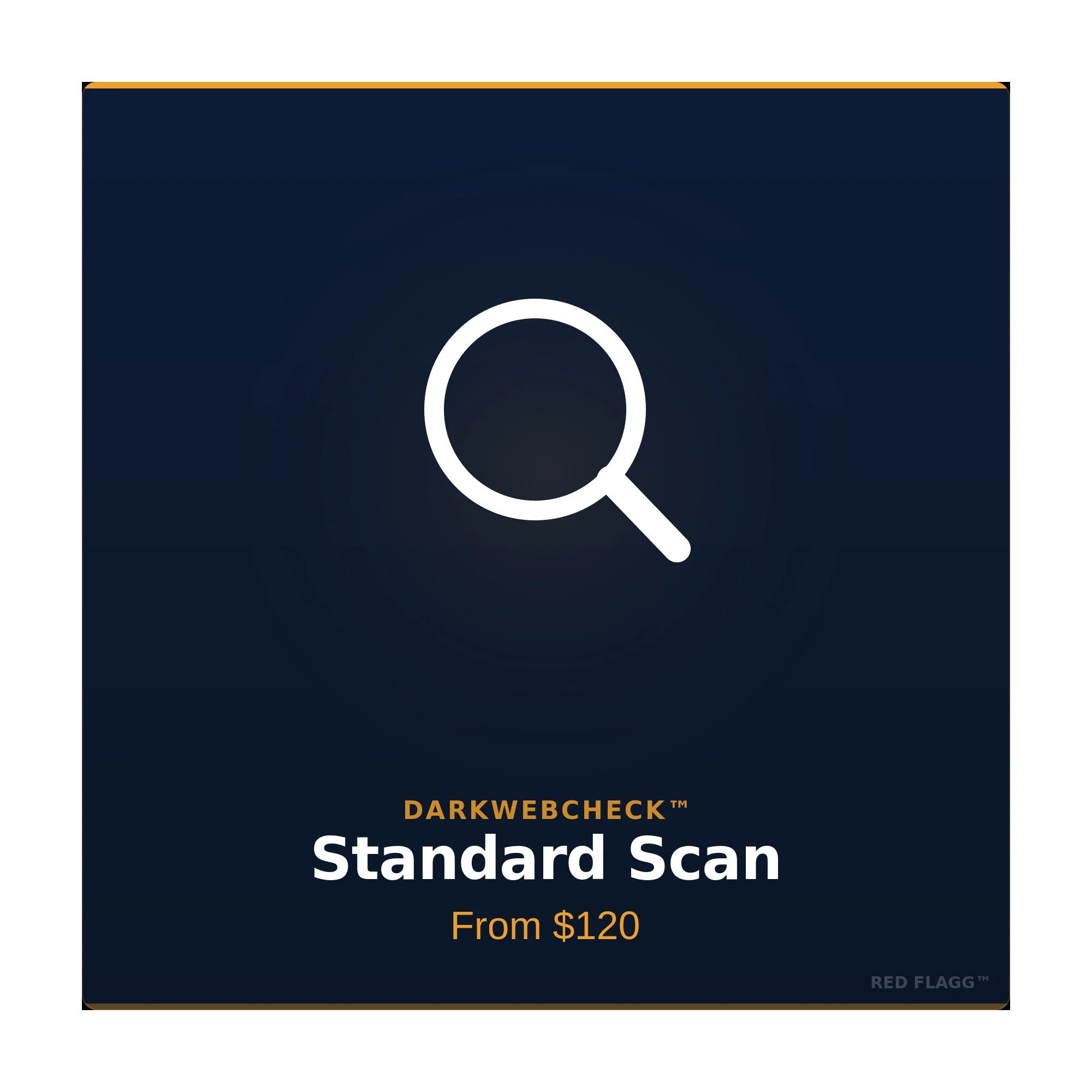 DarkWebCheck™ Standard Scan