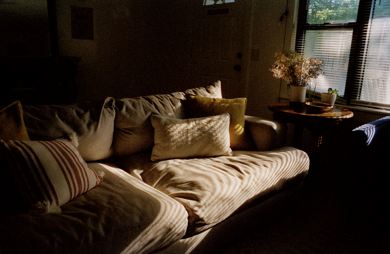 cinestill800T-16 Large.png