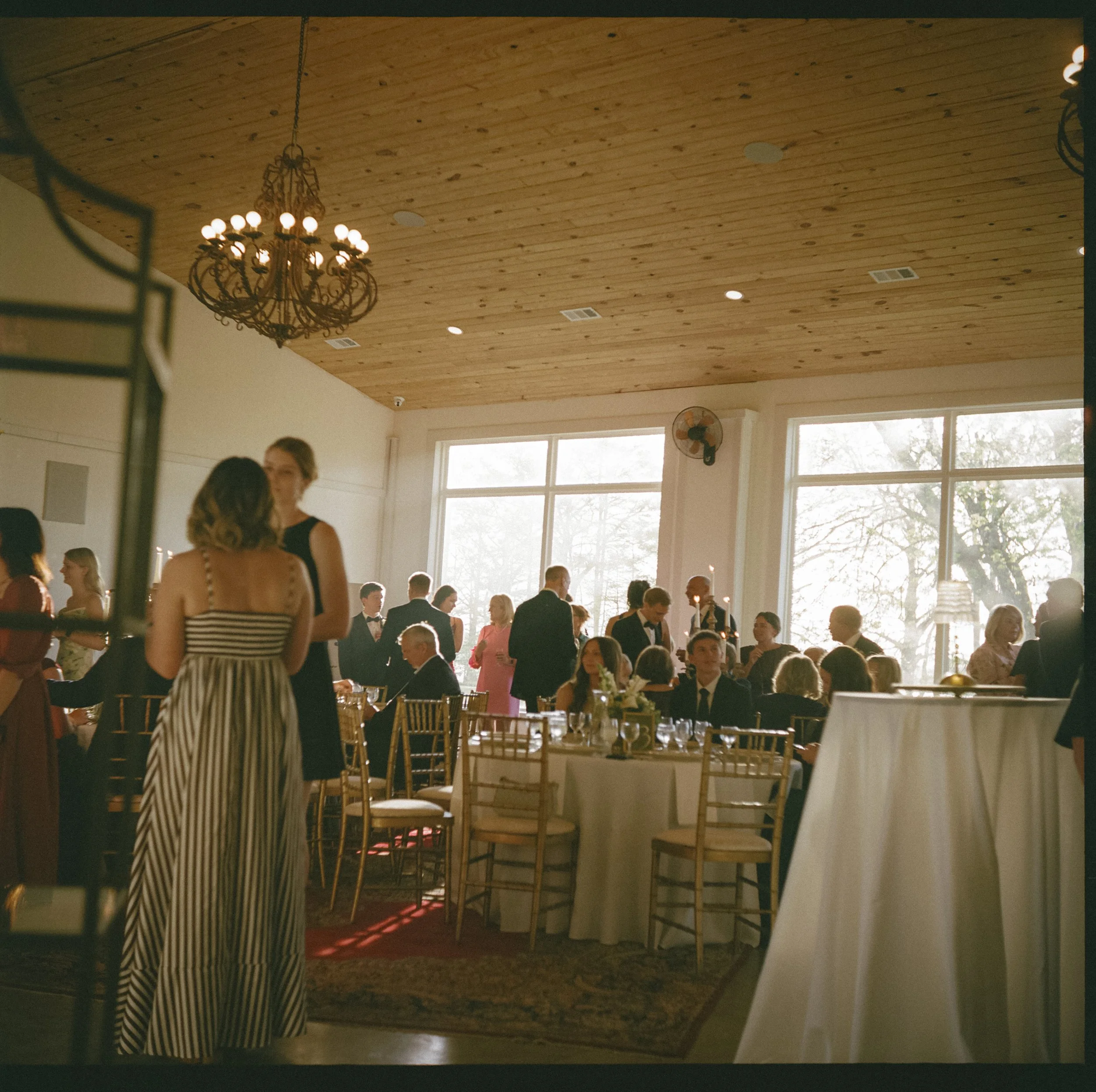 harrisonannefilm-35.jpg