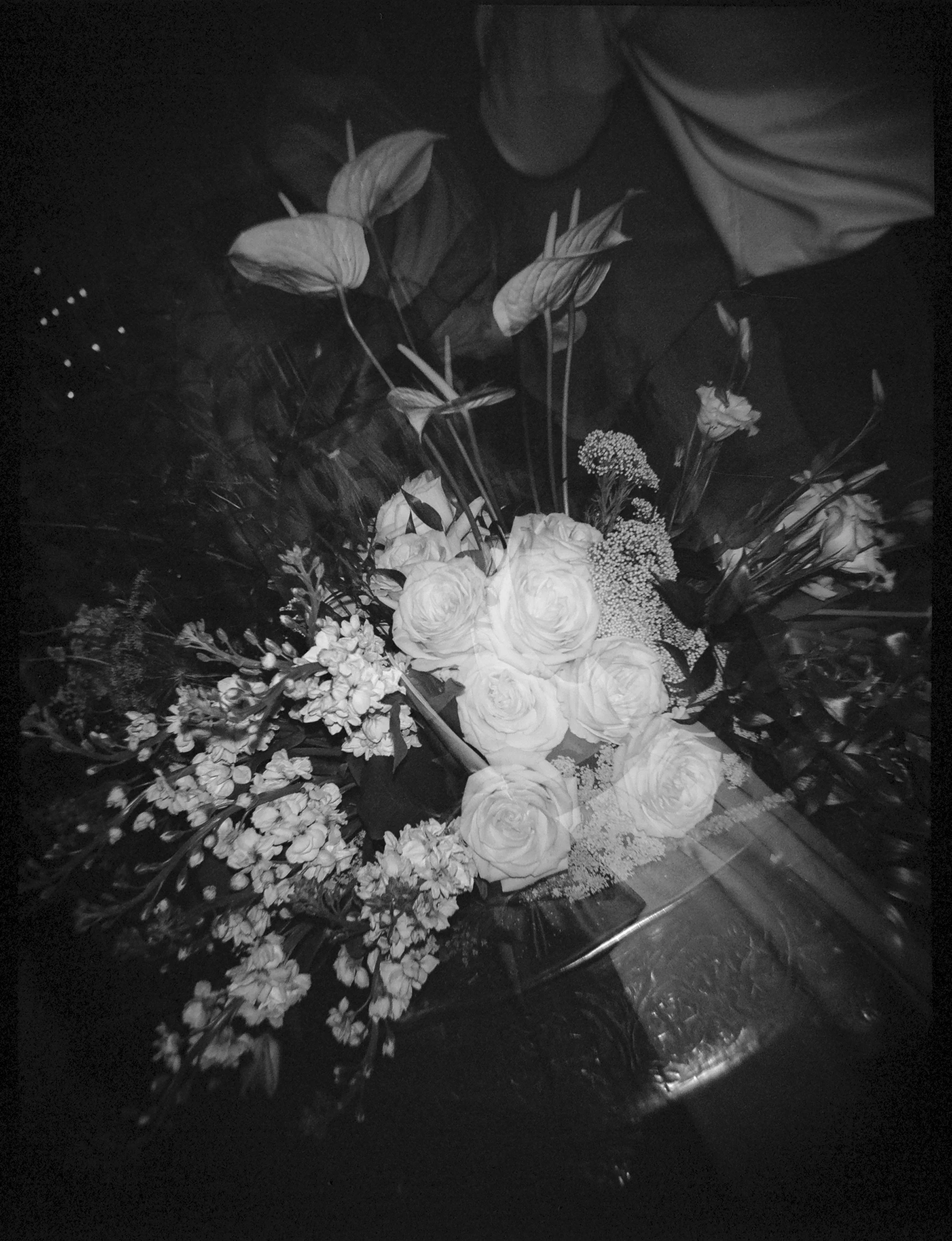 harrisonannefilm-66.jpg