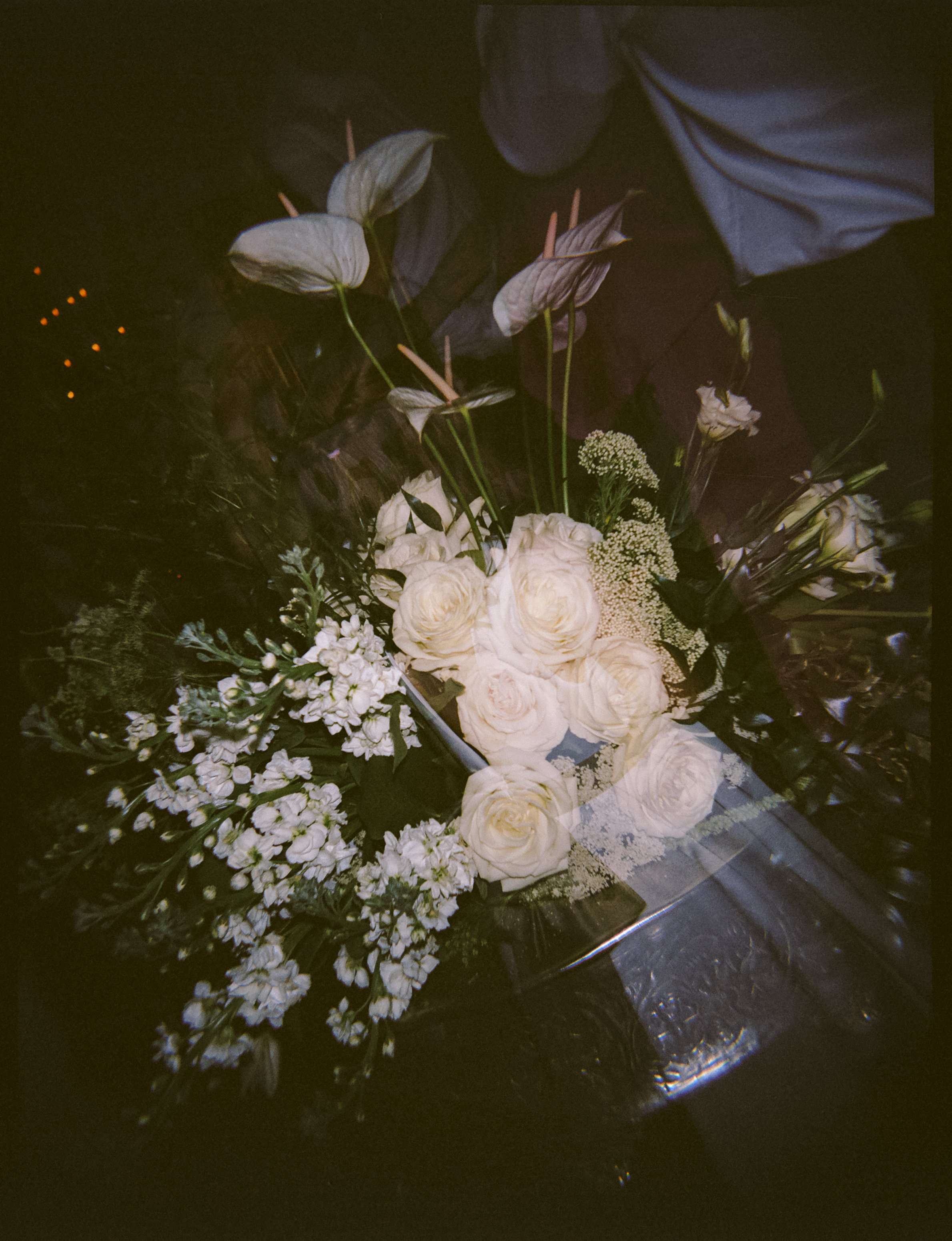 harrisonannefilm-65.jpg