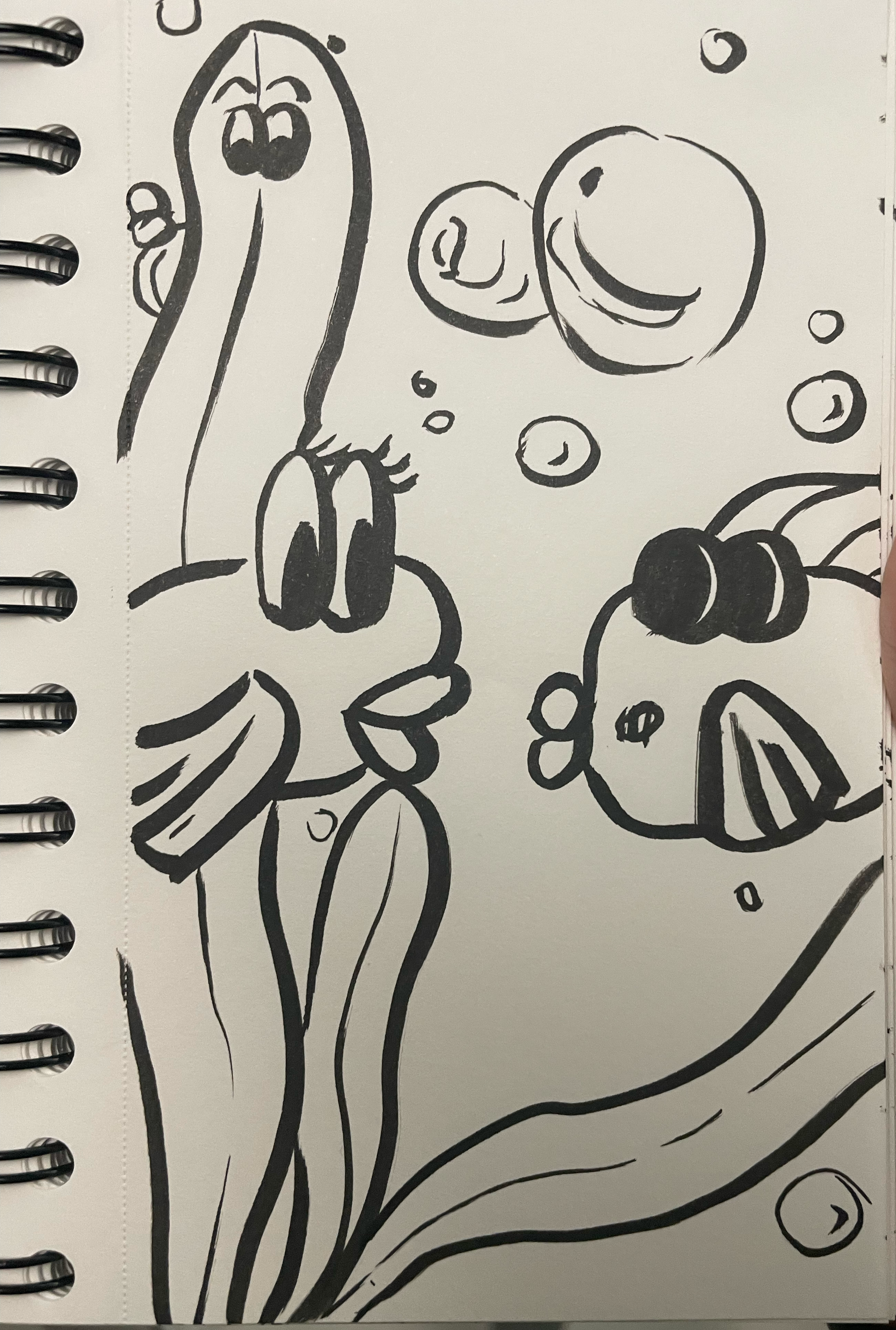 IMG_7141.png