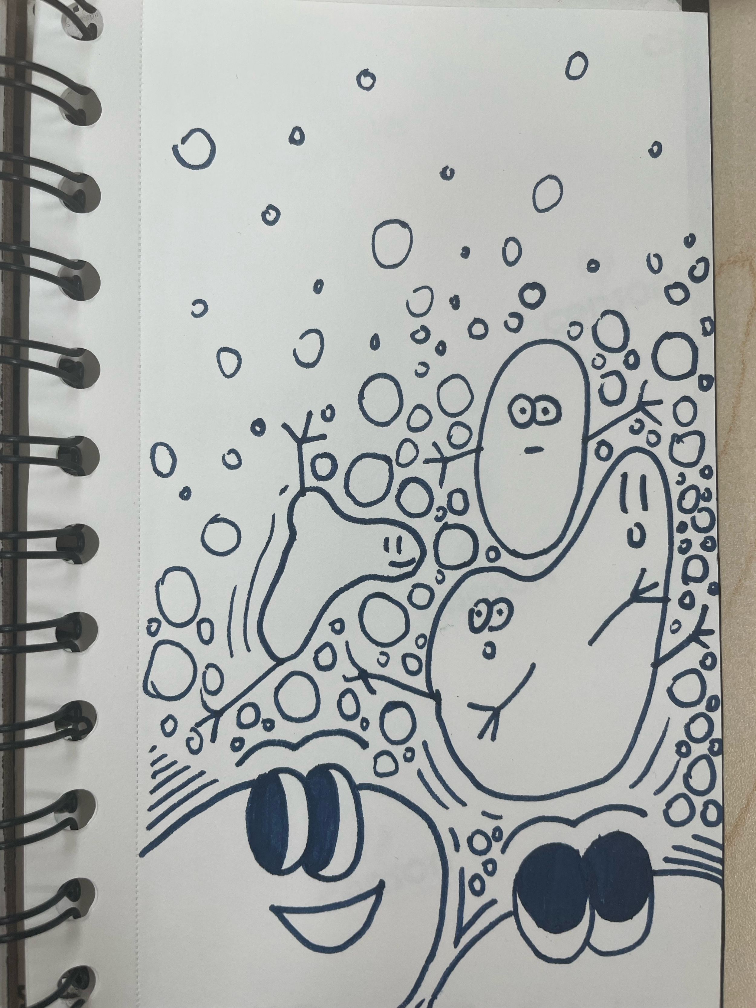 IMG_7075.png