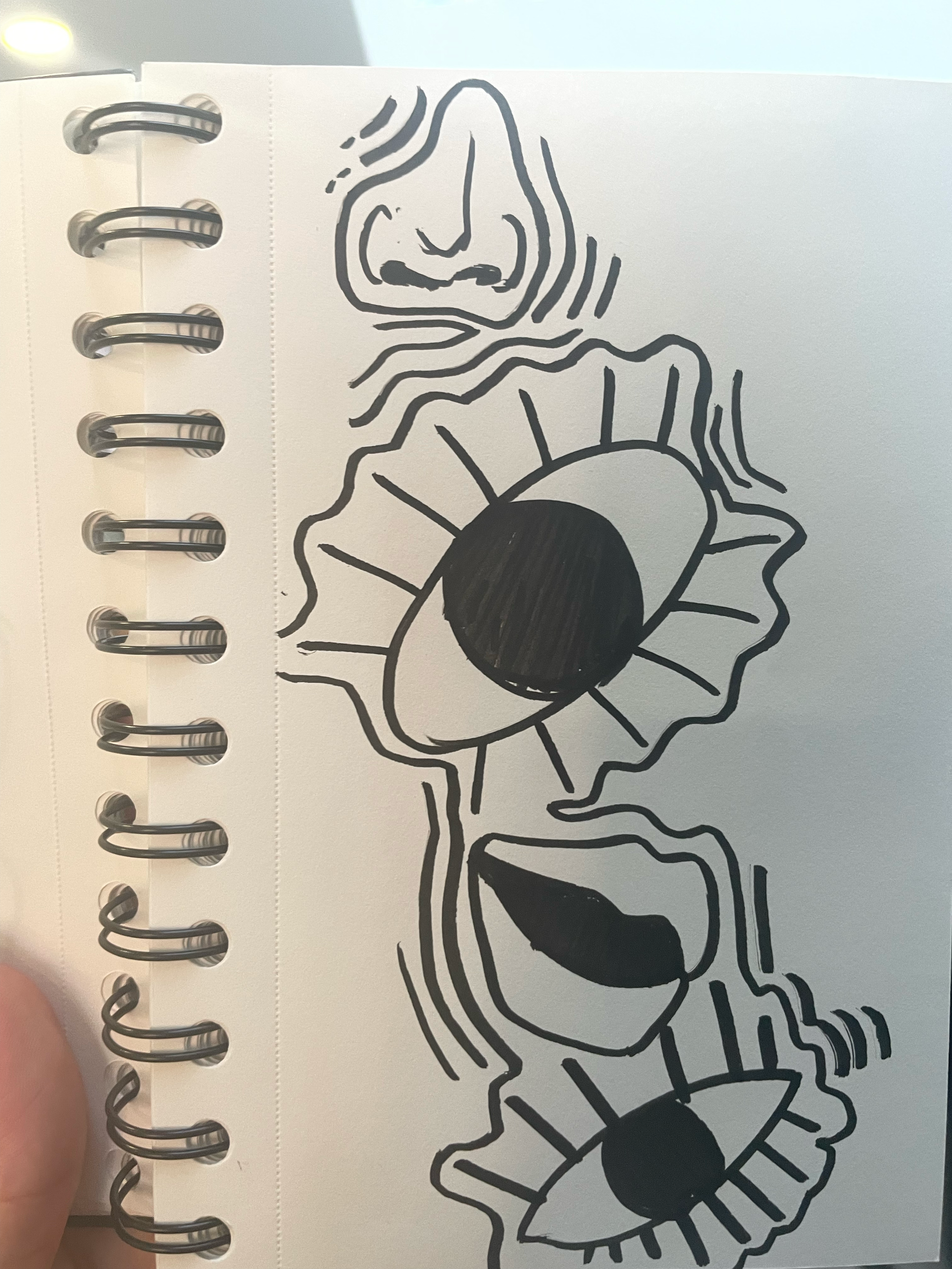 IMG_7360.png