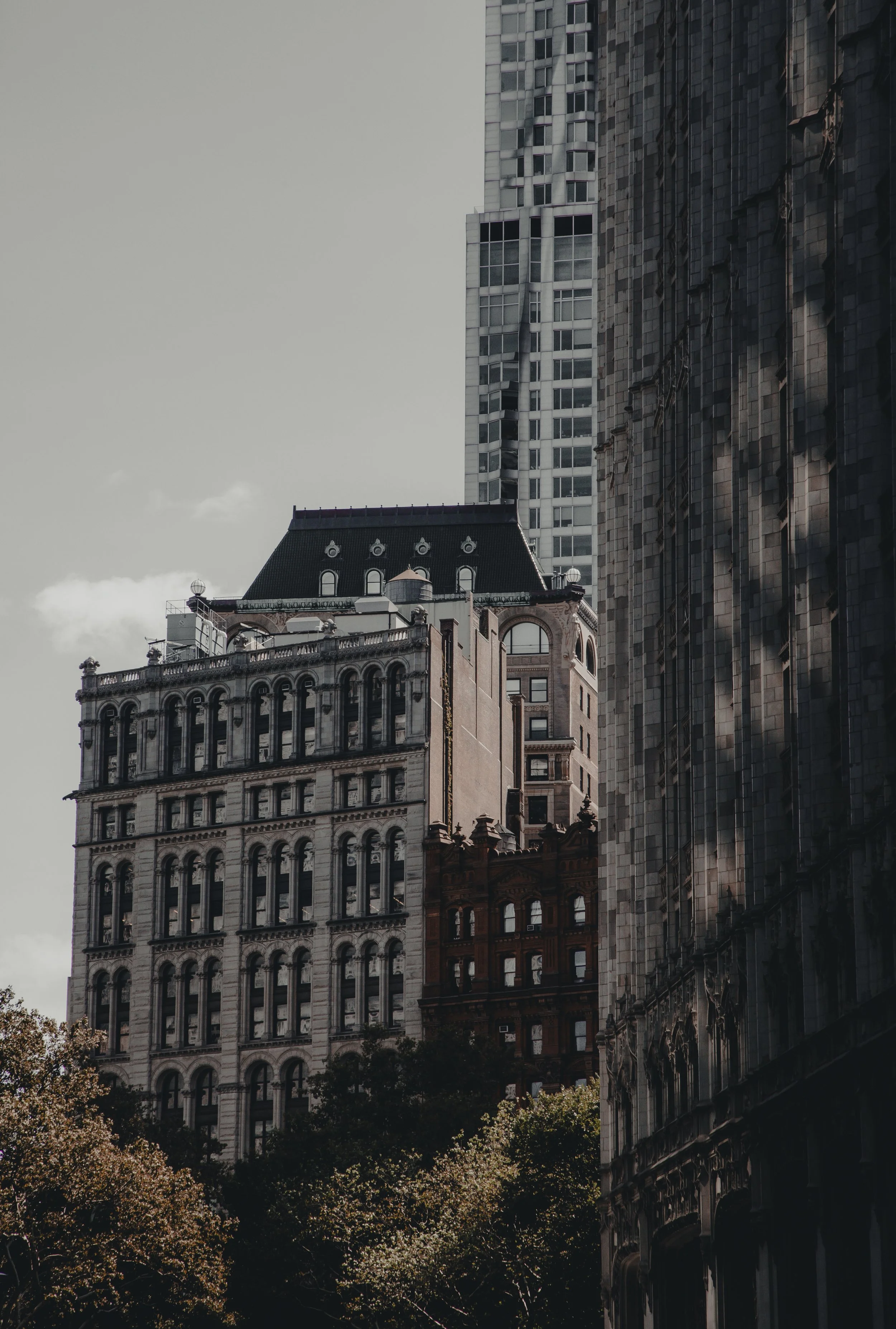 Untitled-24.jpg