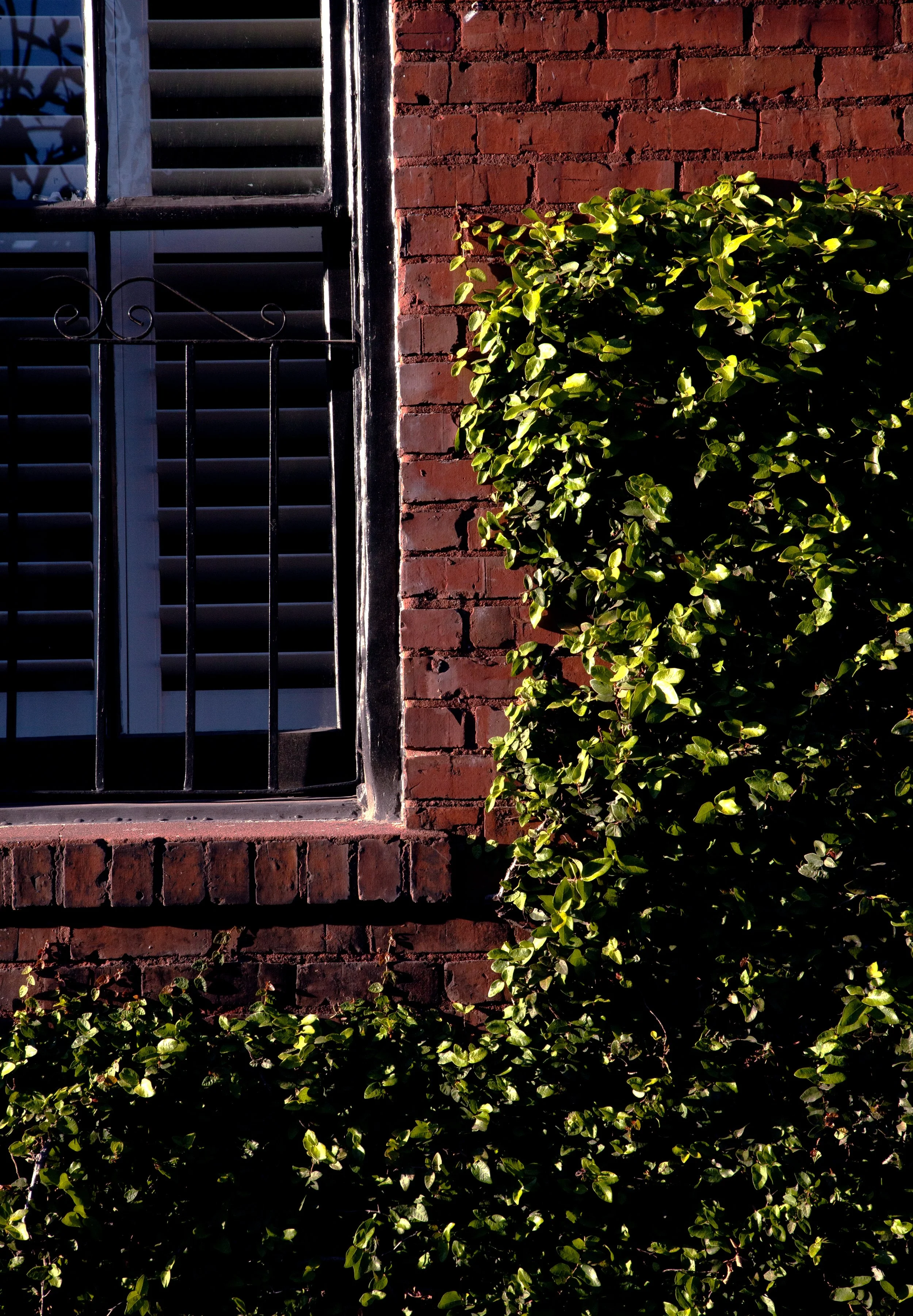 _MG_6724 copy.jpg