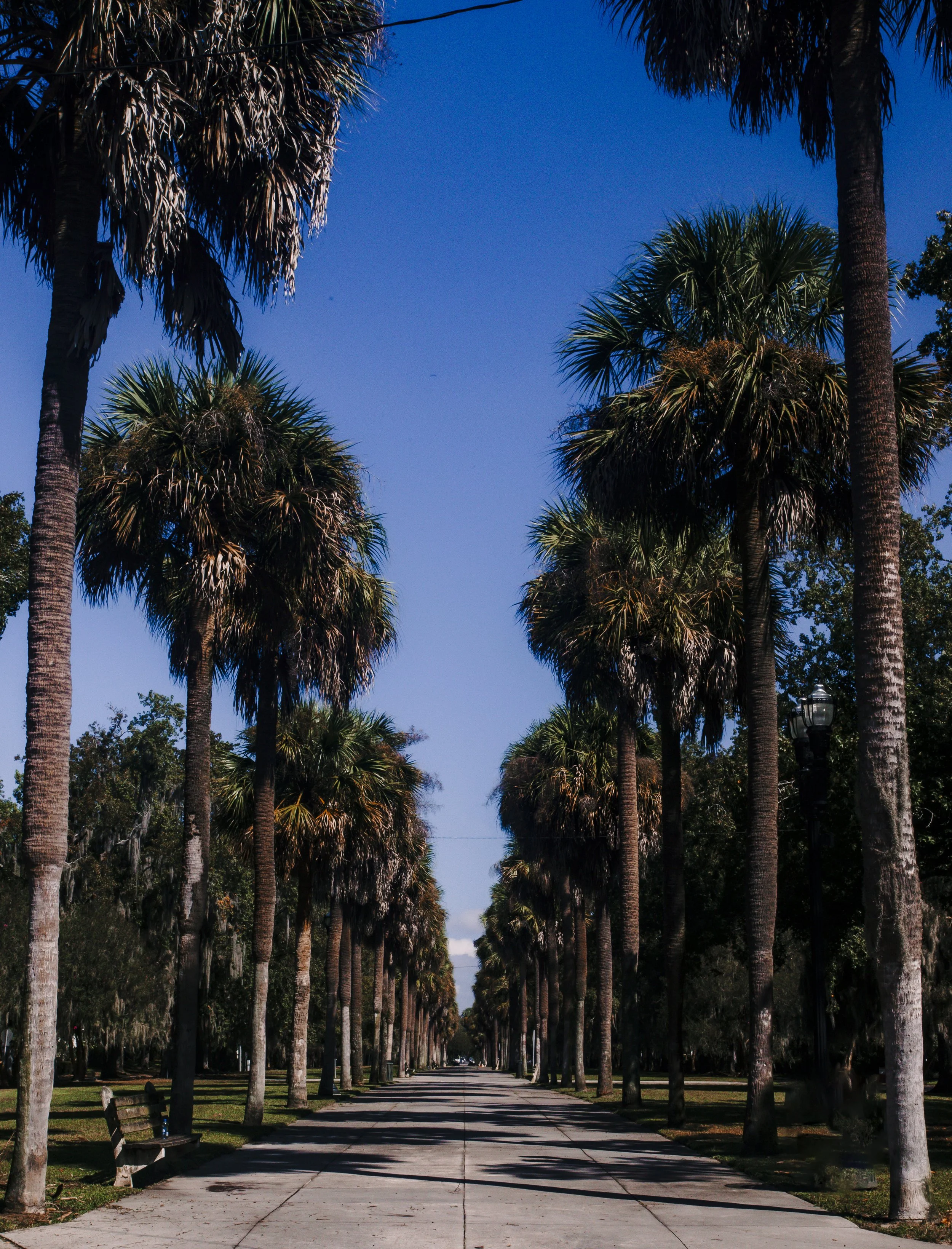 Untitled-5.jpg