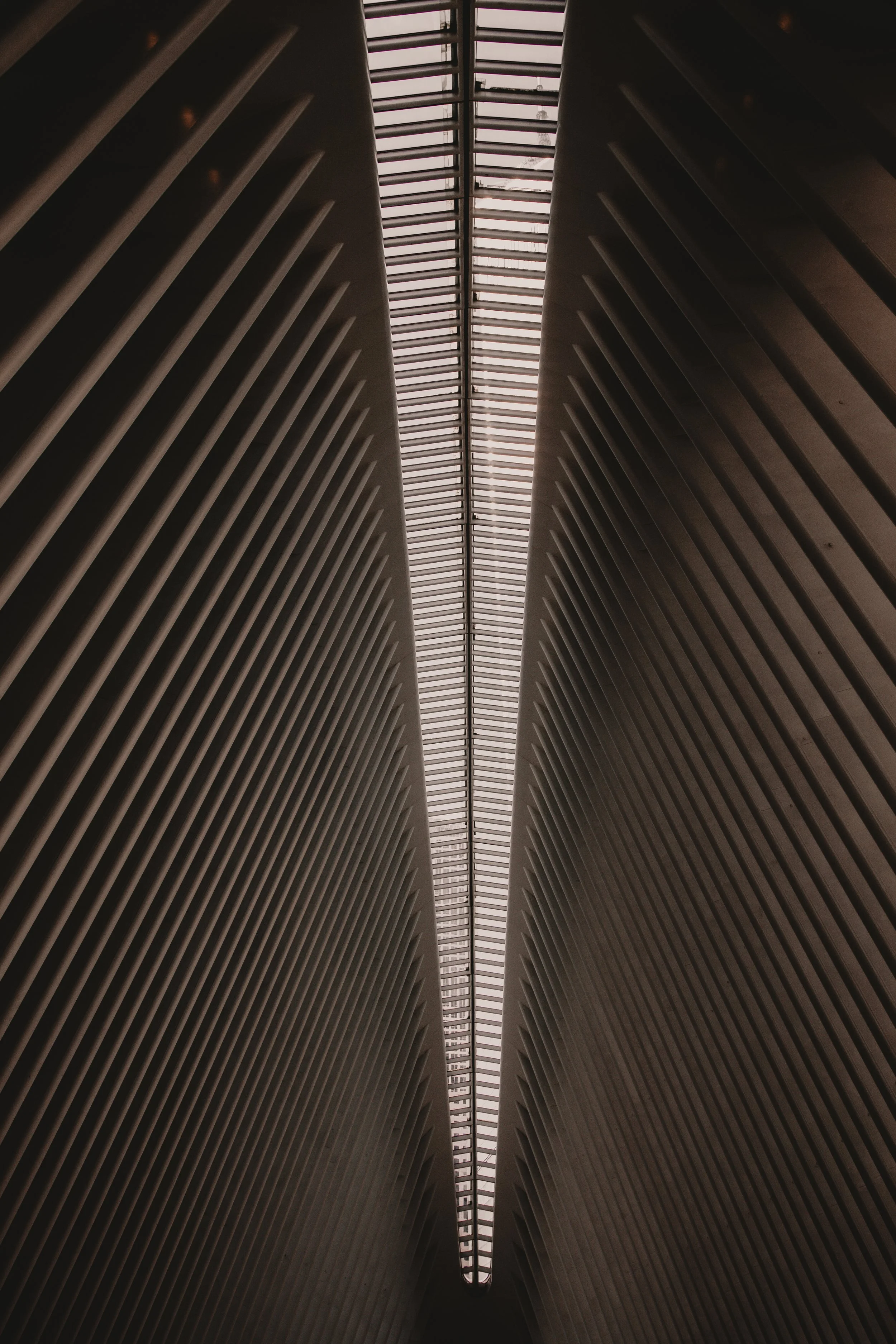 Untitled-21.jpg