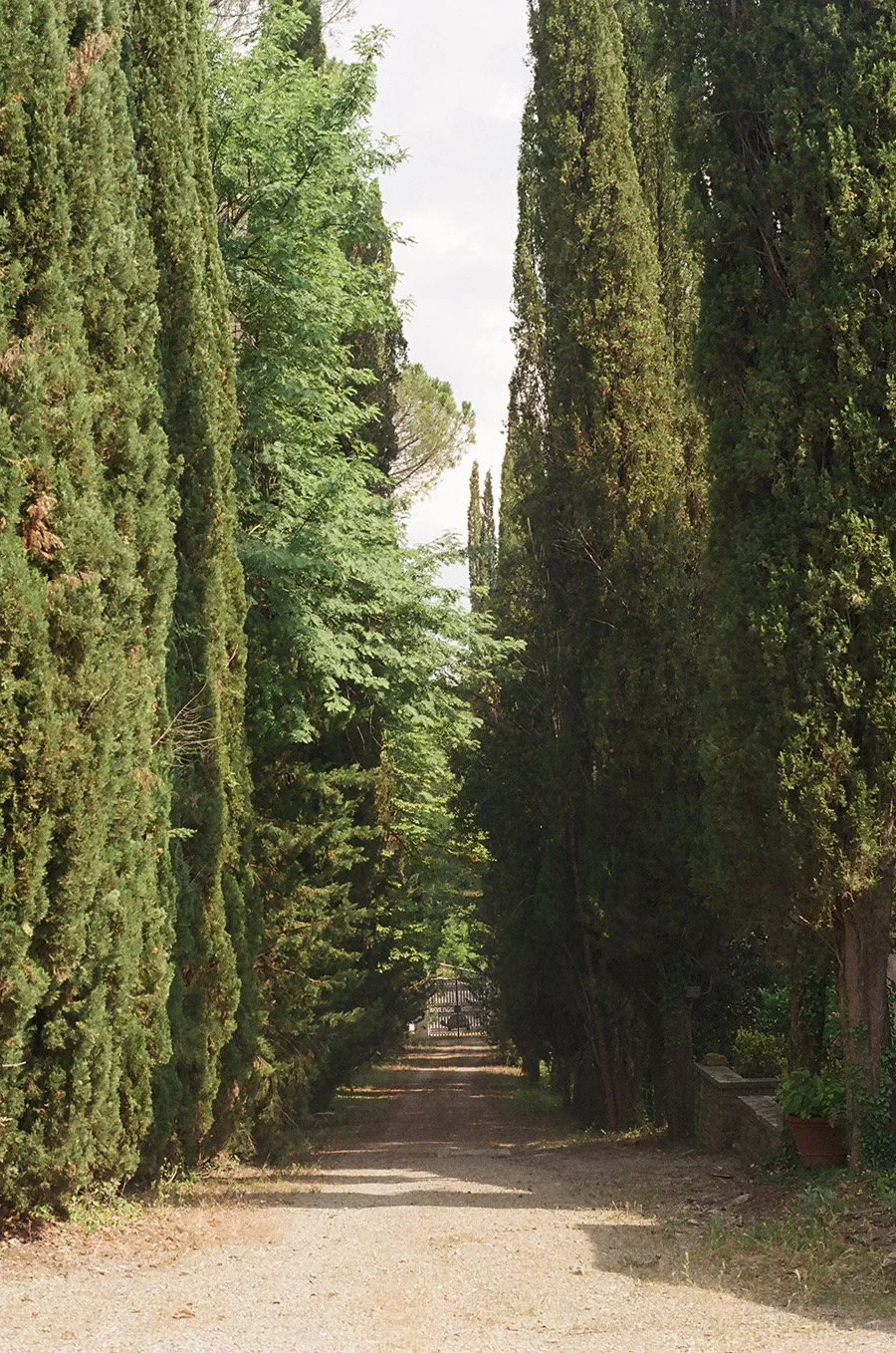tuscany.jpeg
