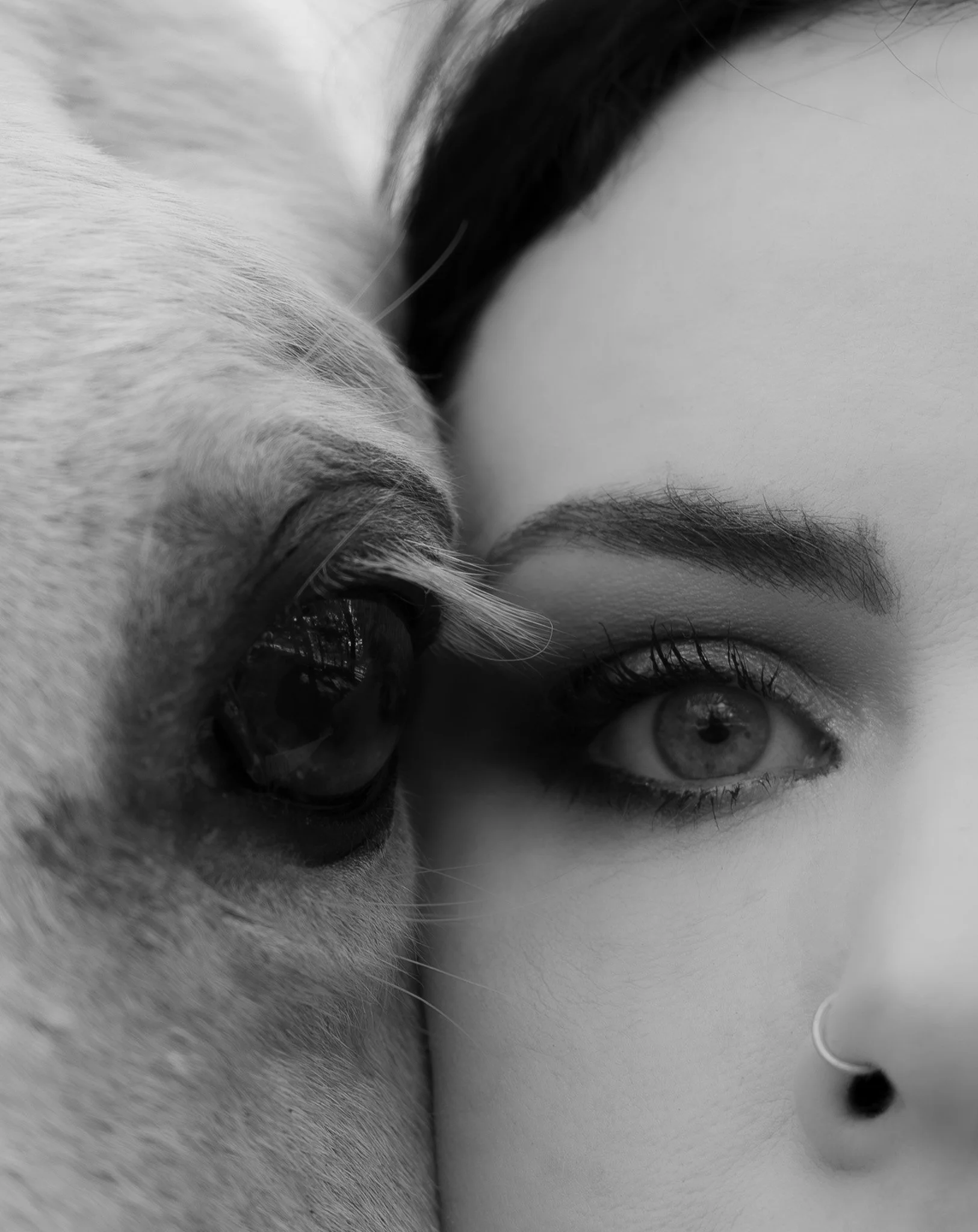A close-up black and white photo of a person with a horse, showing their face and the horse's eye and part of its face in an intimate pose.