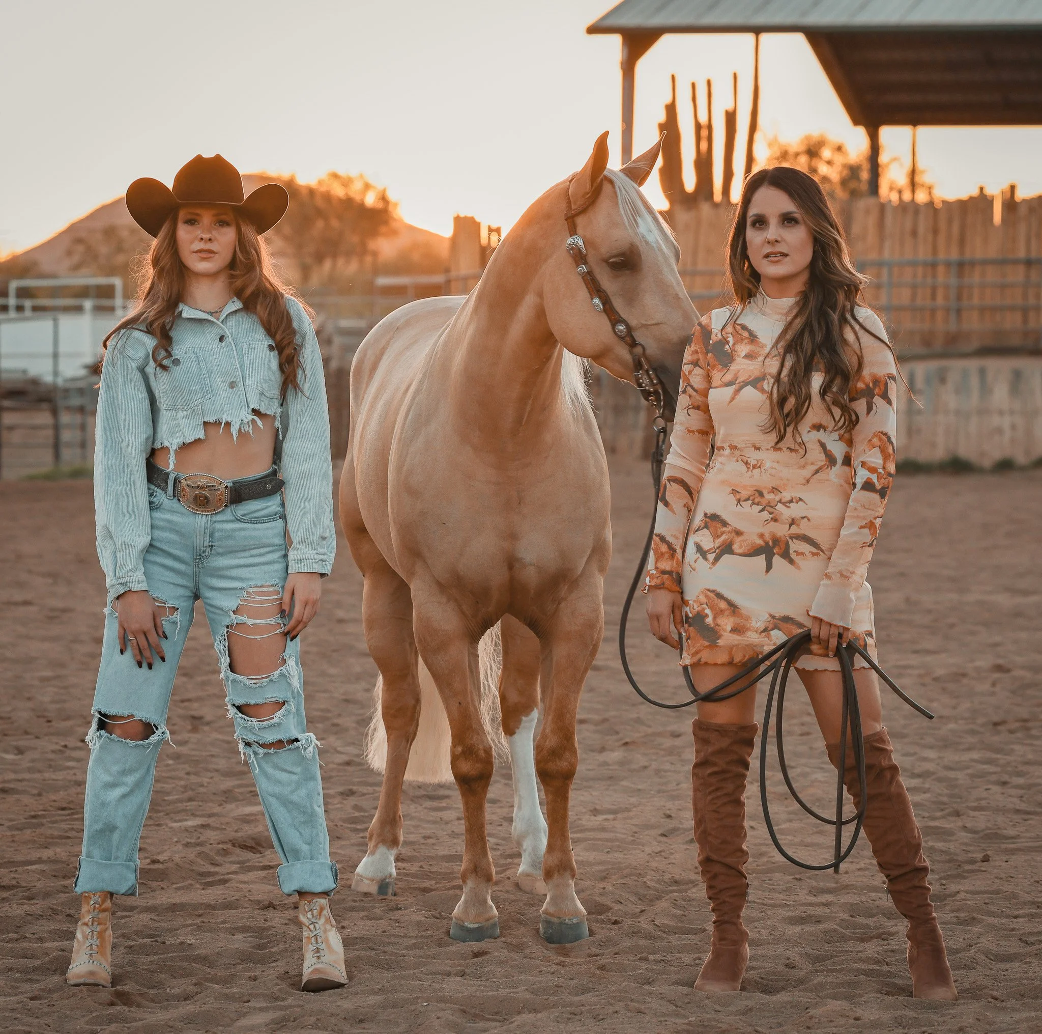 Cowgirls with horse. Horse photography.