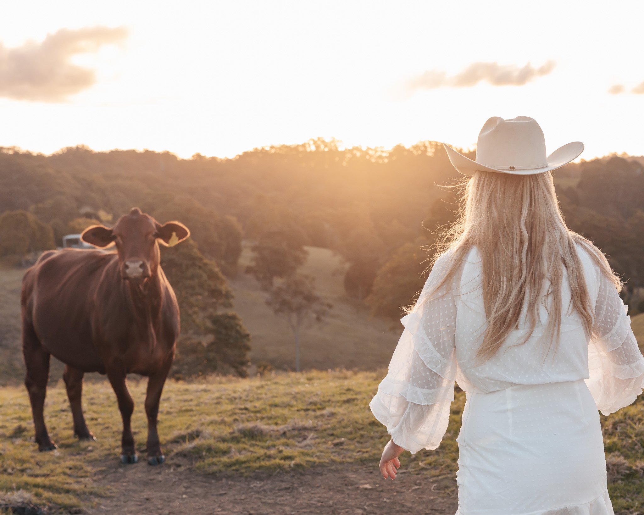 Woman in white dress and cowboy hat facing a brown cow in a pastoral setting at sunset. Photoshoot
