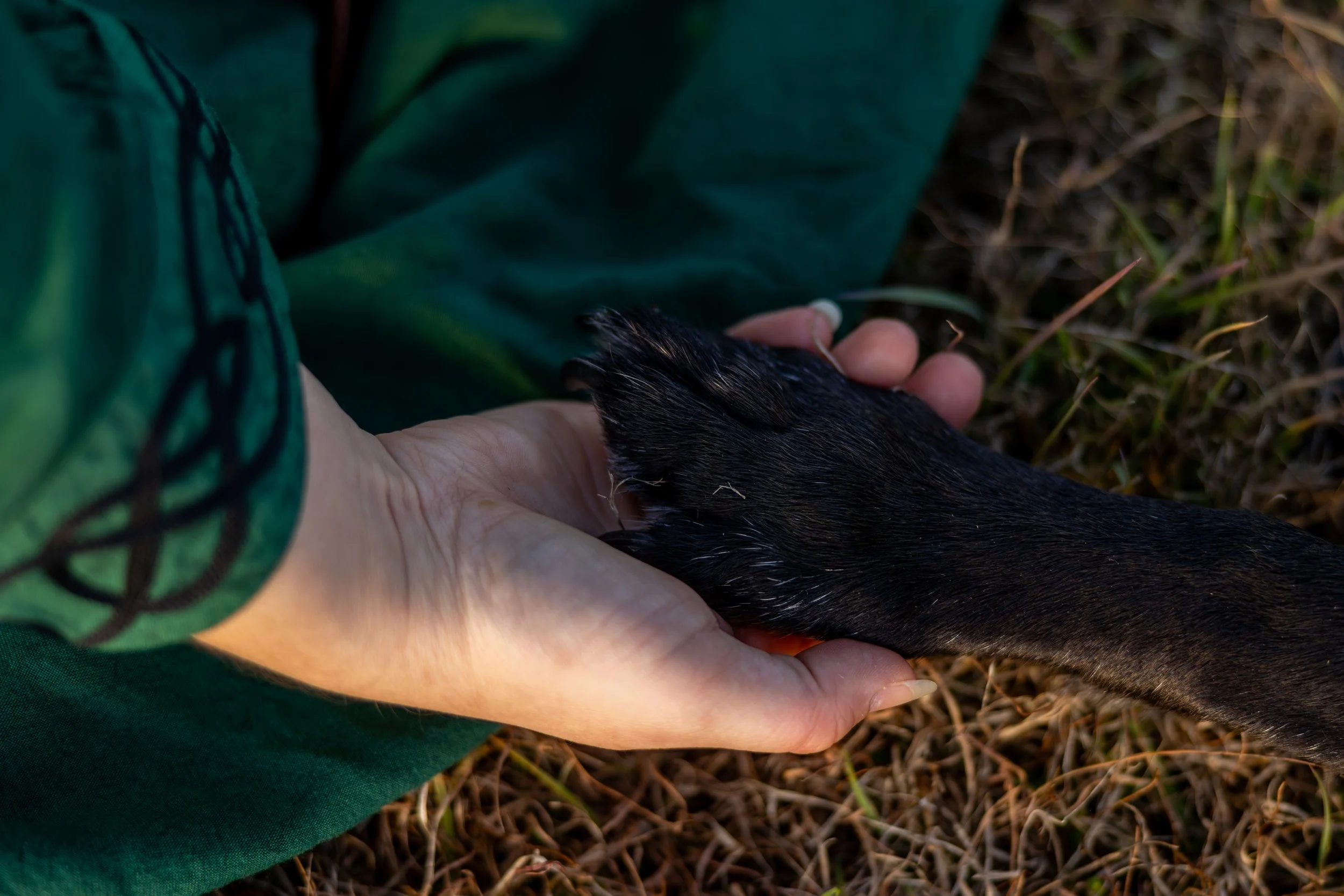 Person lying on grass wearing green clothing, holding a black animal's paw.