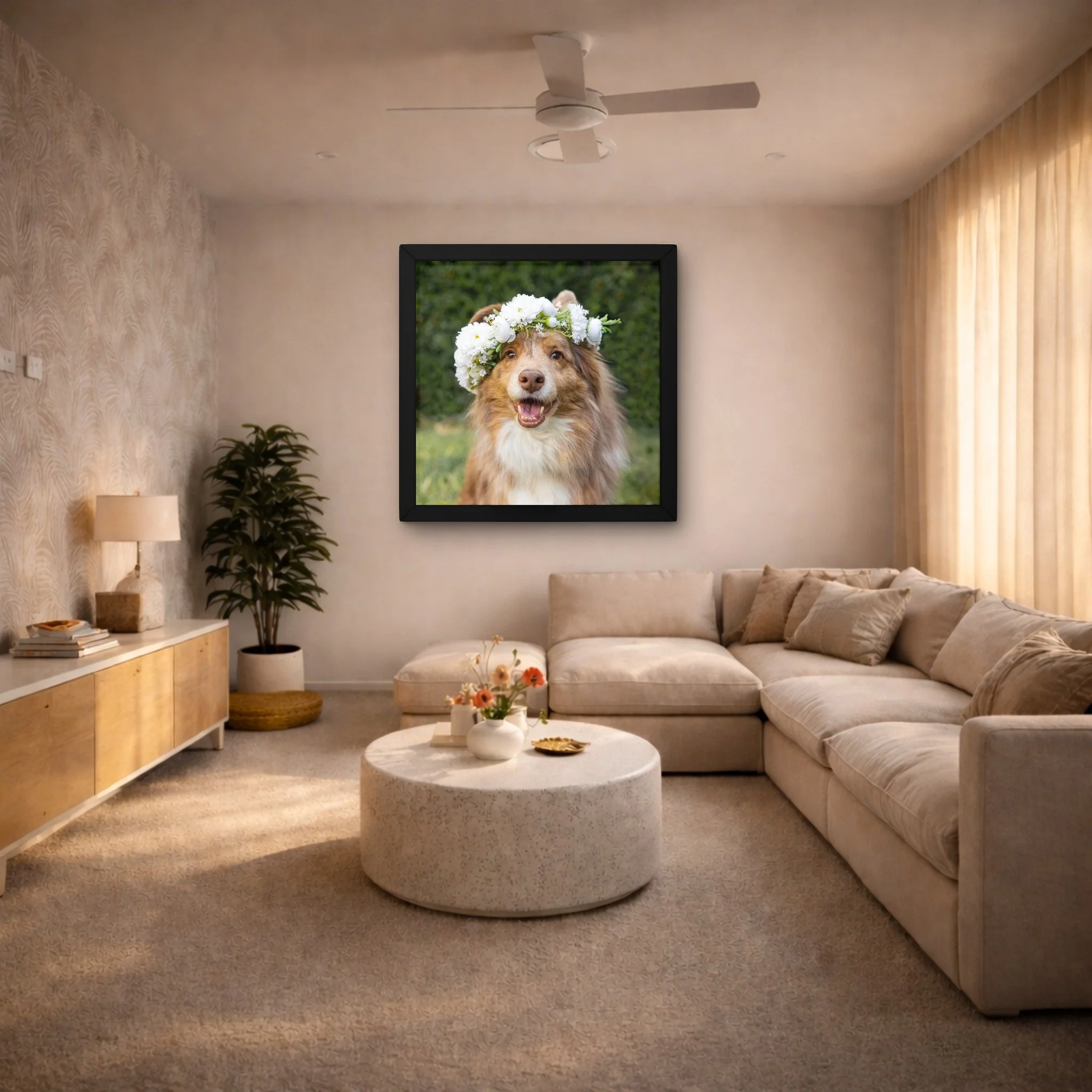 Dog wall art in home setting, professional pet photography Toogoolawah