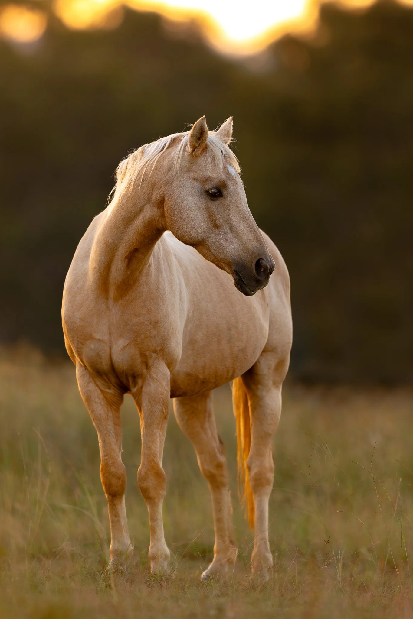 R5__4069-Edit-3.jpg