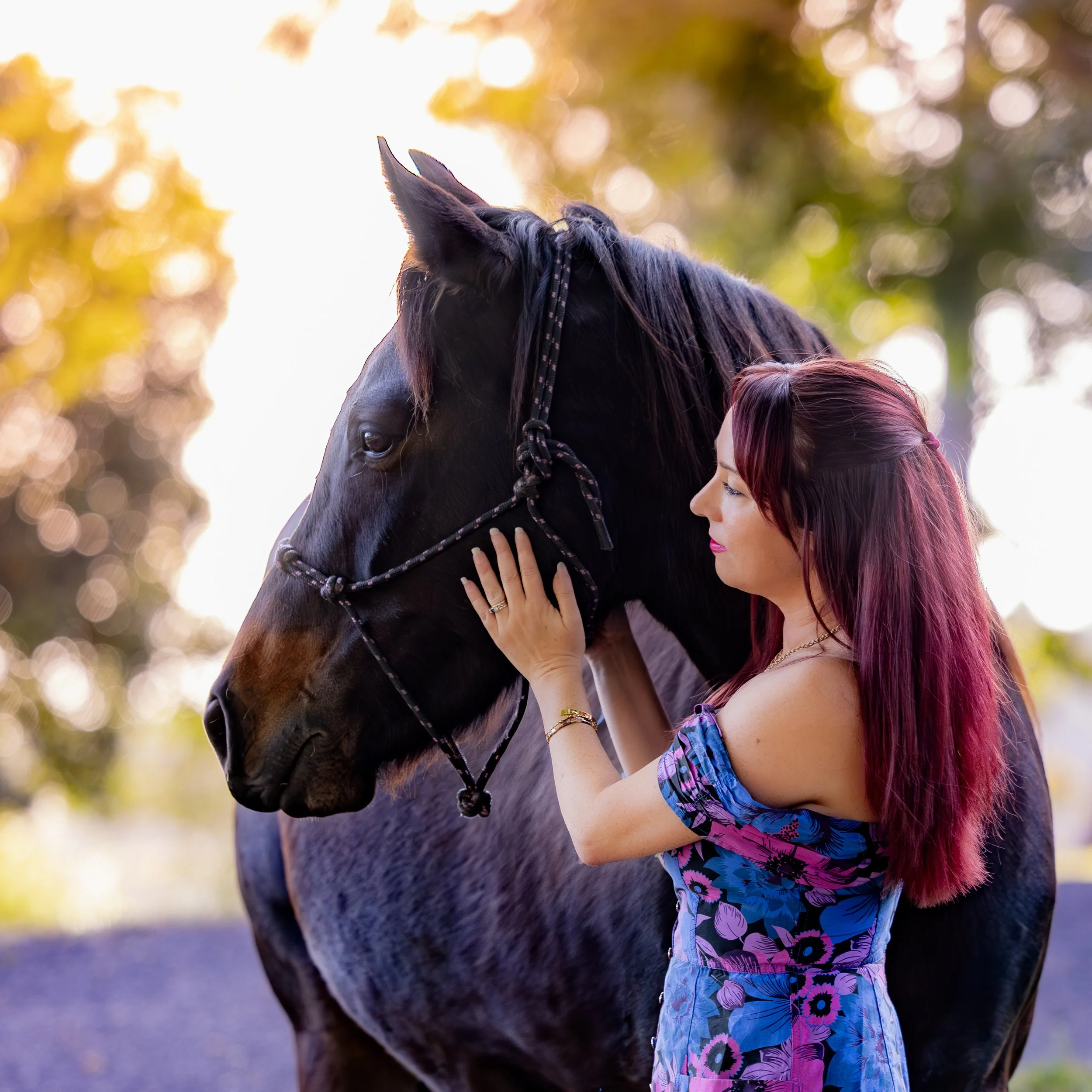 A woman with red hair embracing and petting a dark horse outdoors during golden hour, with blurred trees and warm sunlight in the background.