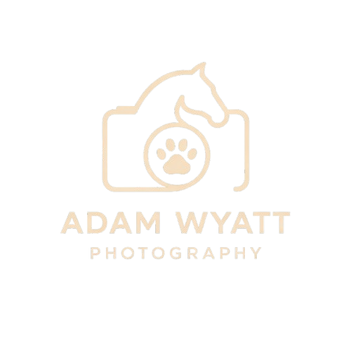 Adam Wyatt Photography